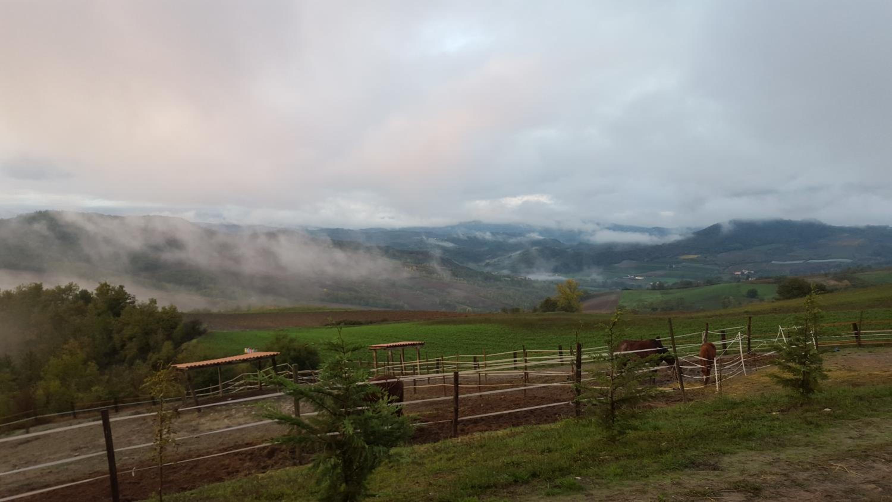 Allevamento B&B