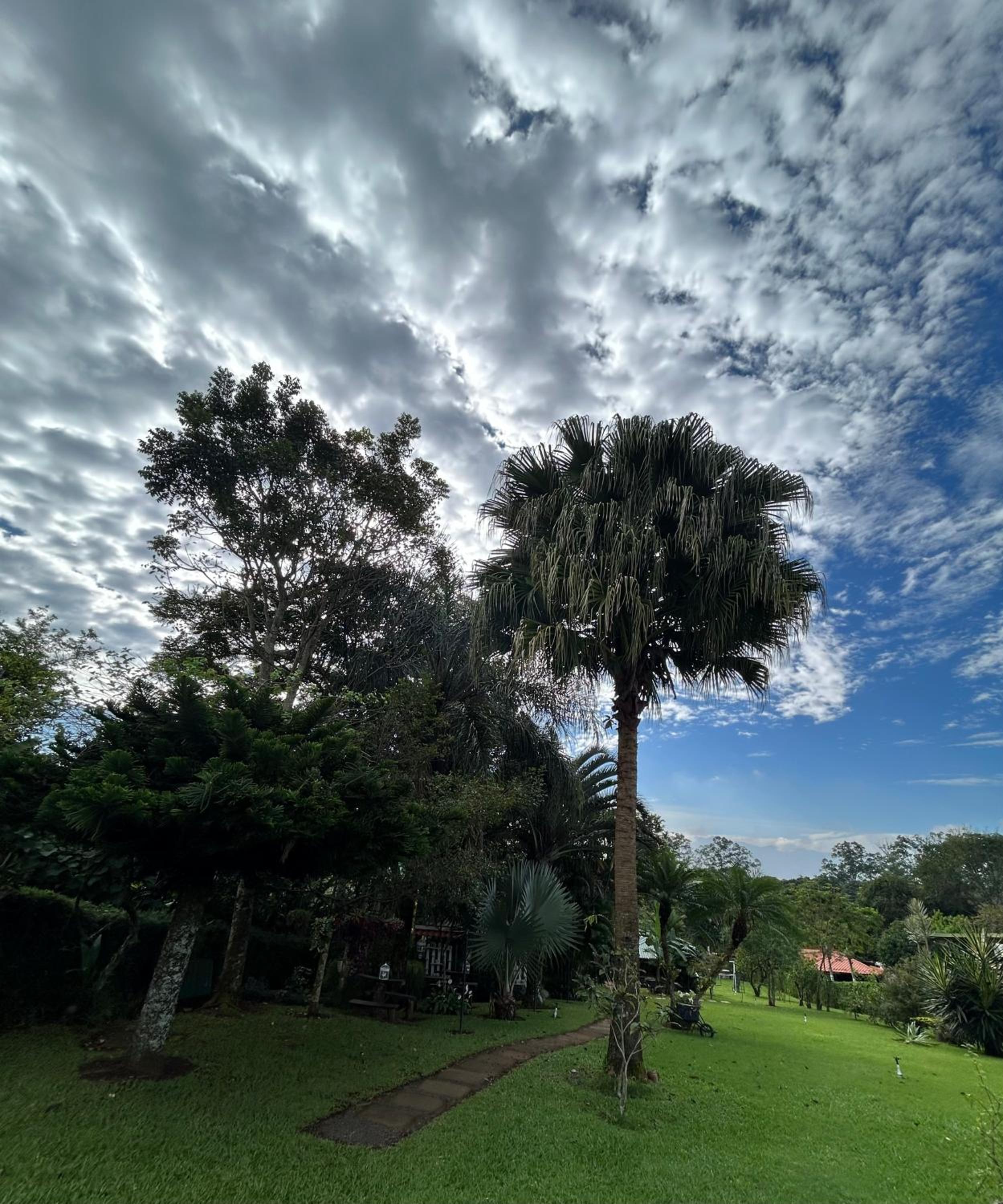Eco Villas Tambor Tucanes