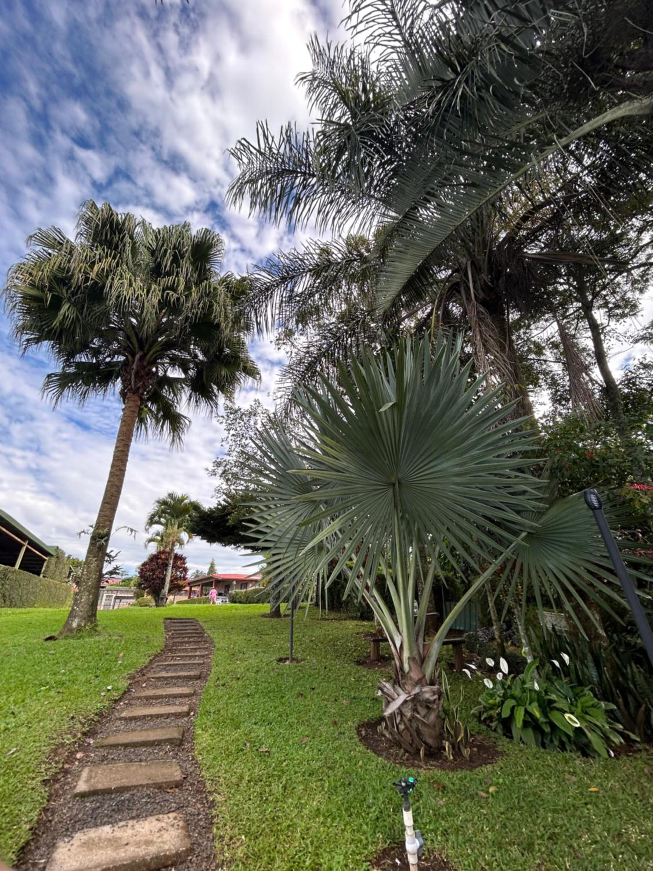 Eco Villas Tambor Tucanes