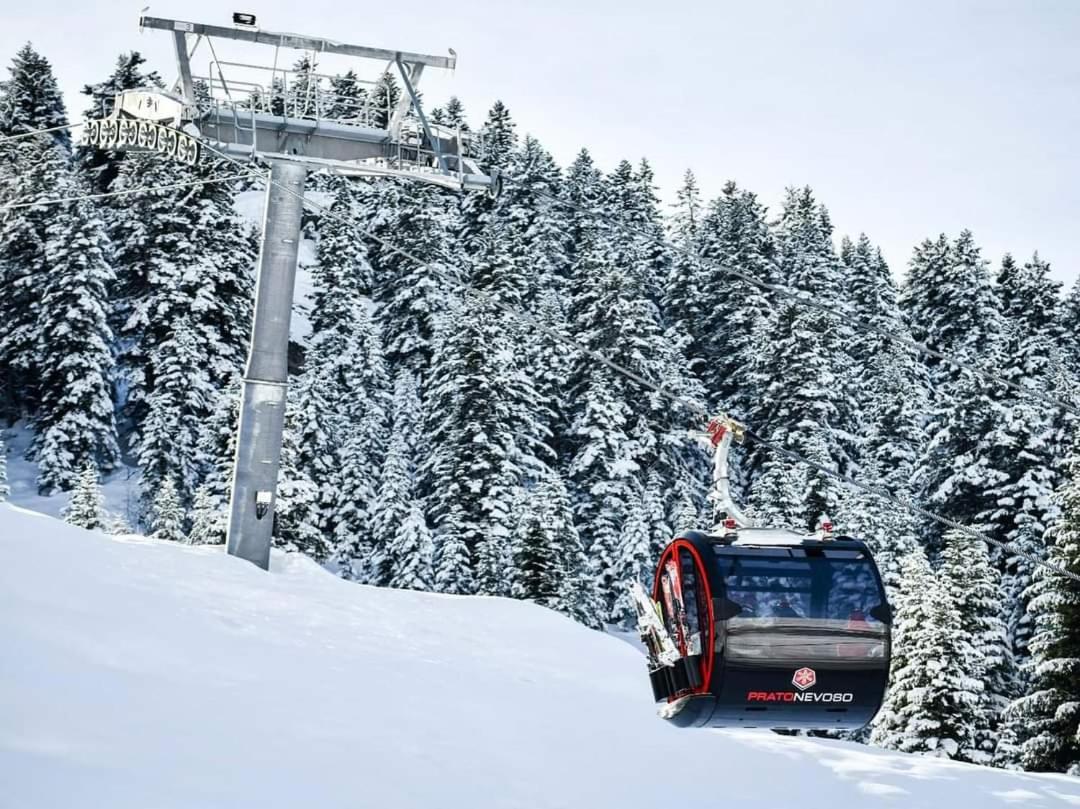 Bilocale I cervi a pochi passi dalle piste con vista Mondolè