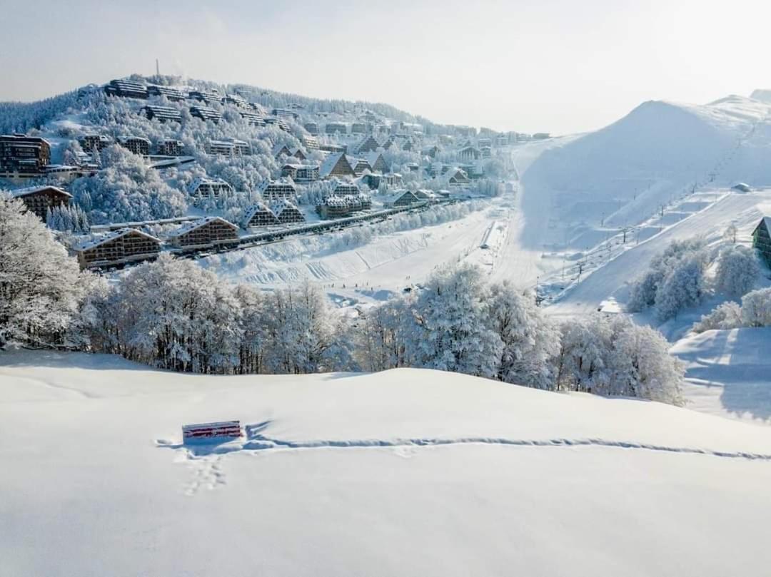 Bilocale I cervi a pochi passi dalle piste con vista Mondolè