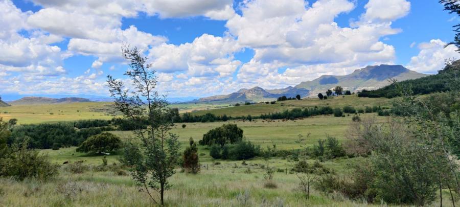 Benlamond Guest Farm