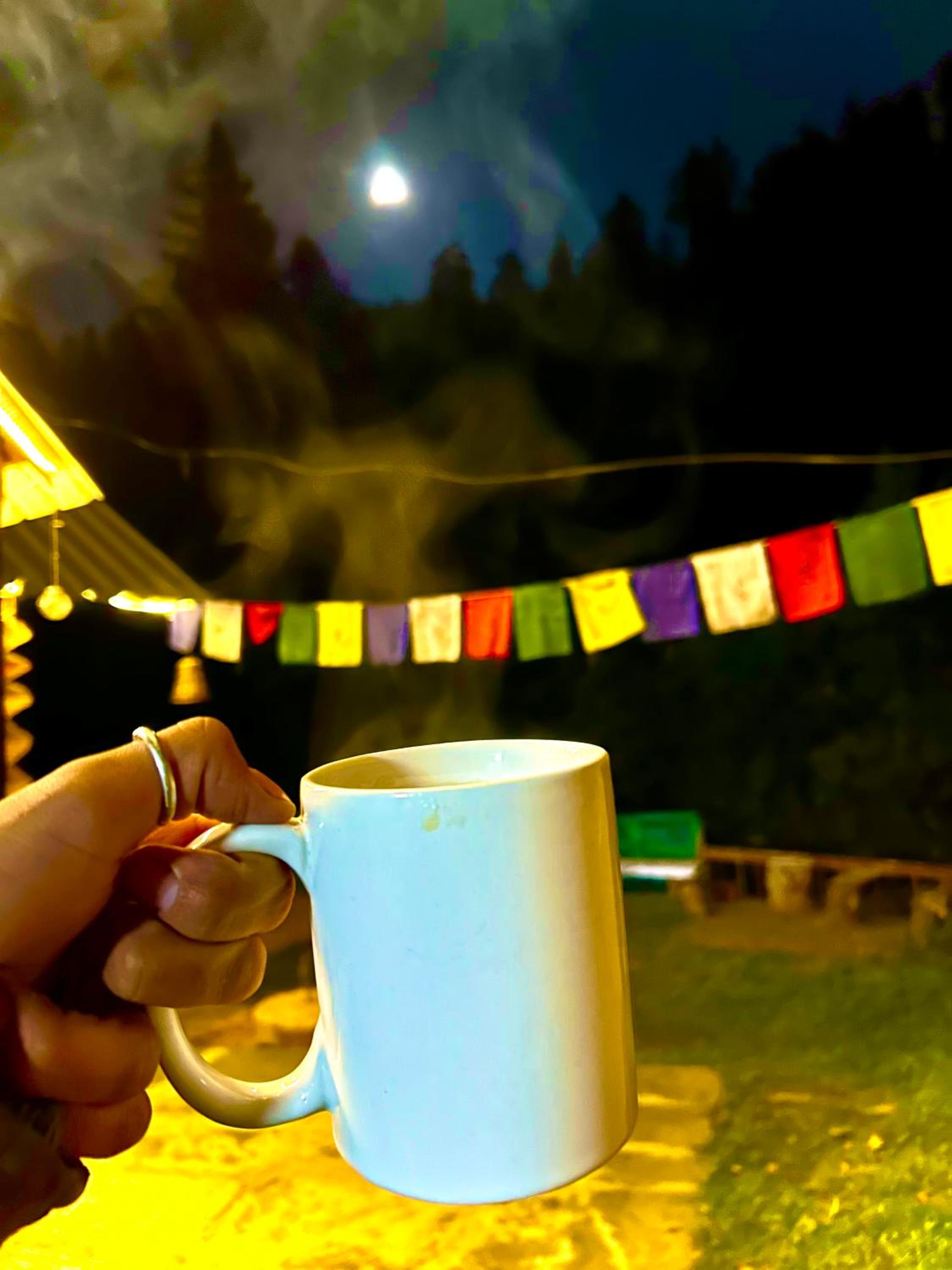 Alpine Homestay at Gadagusain