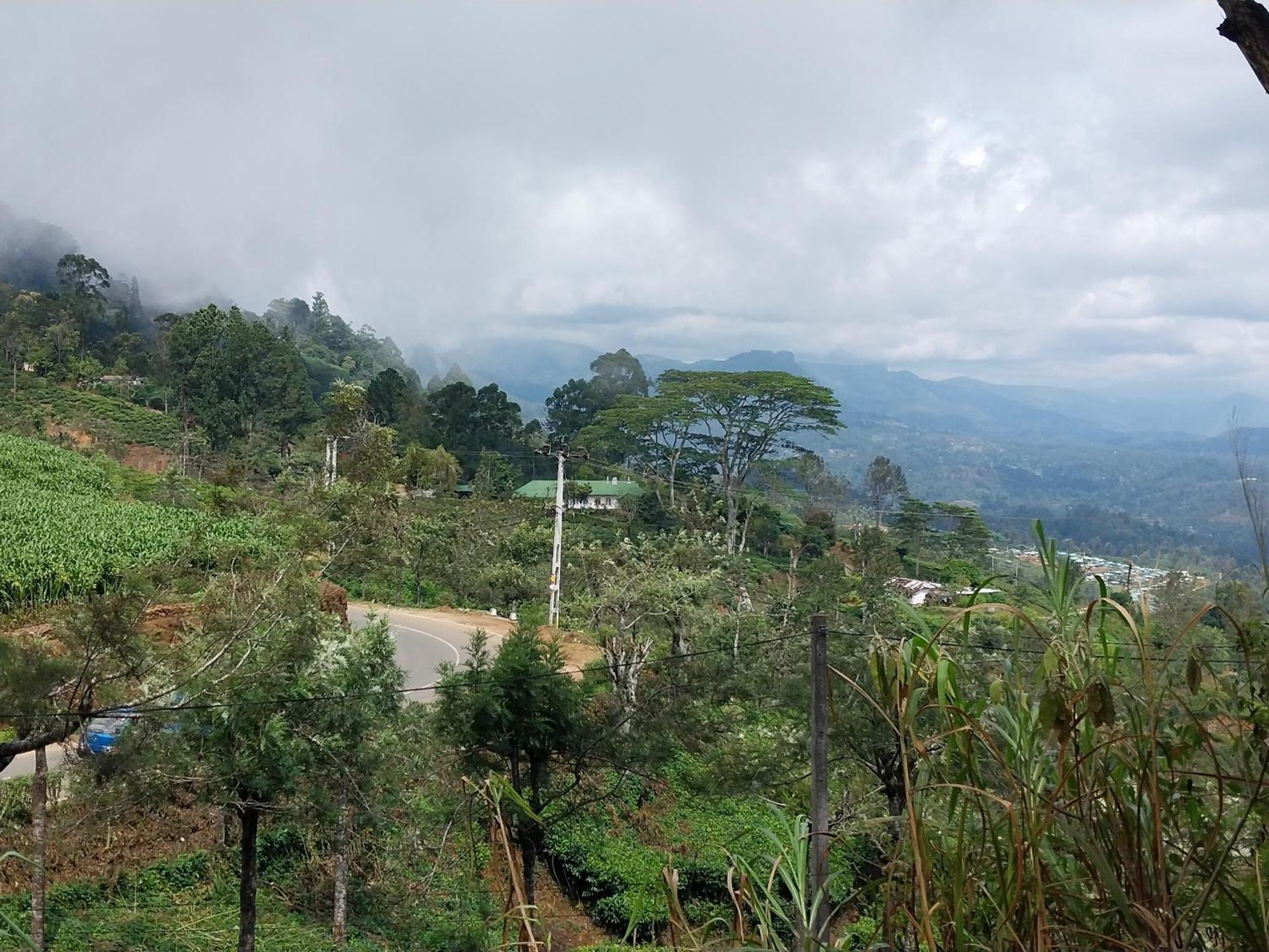 Haputale Green Leaves Holiday Home view 3