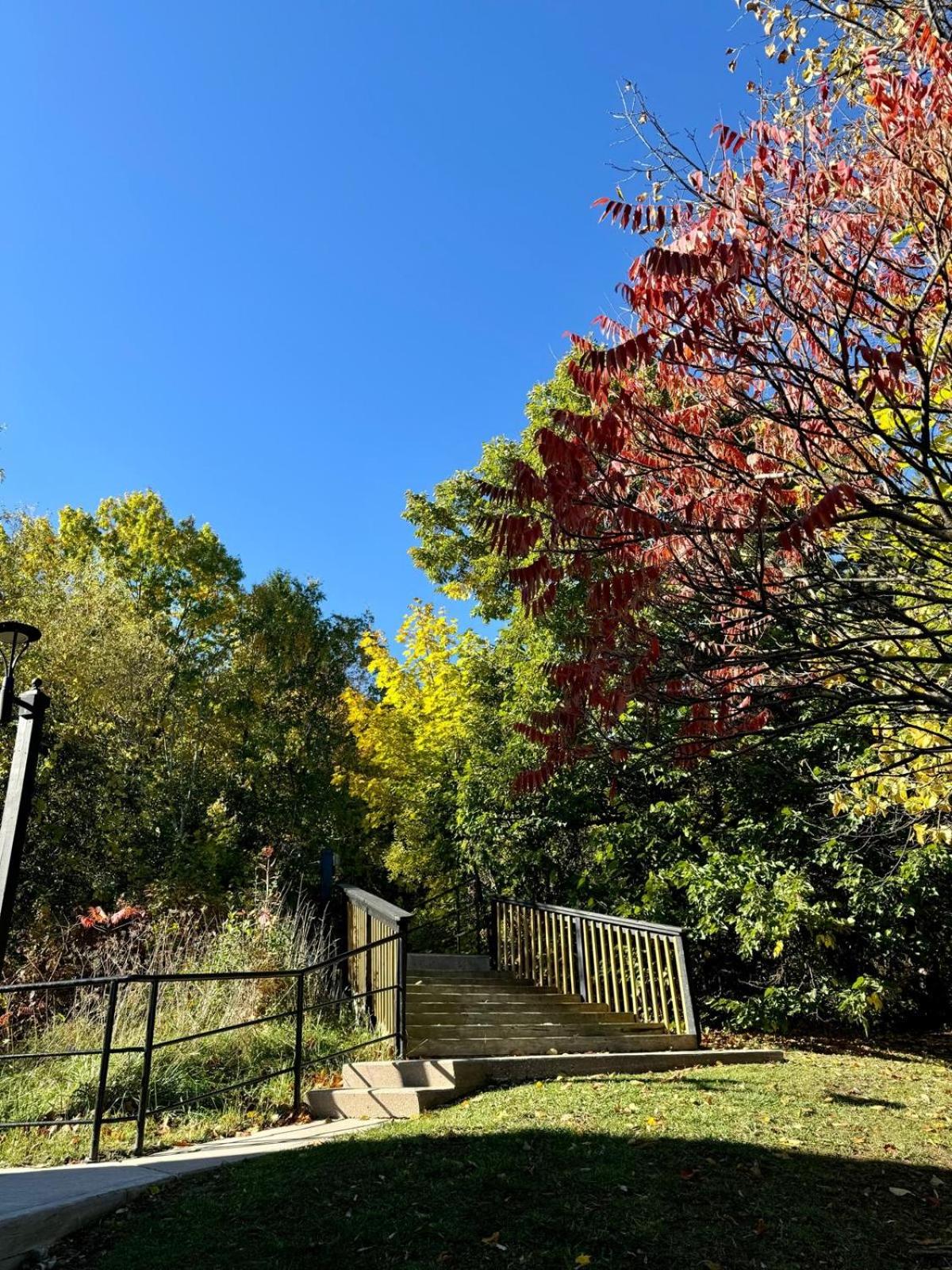 Condo 909 at North Creek Resort