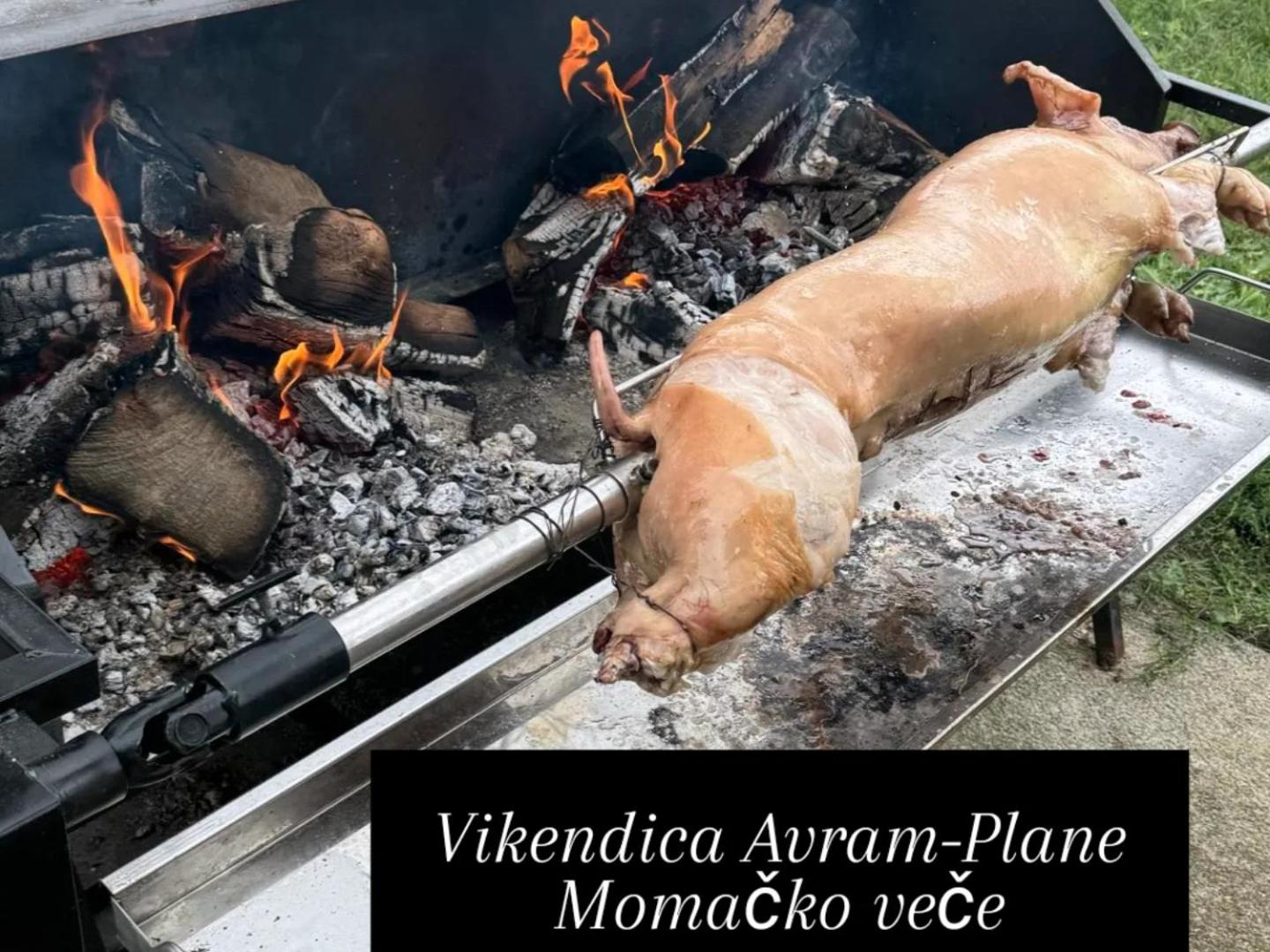 Vikendica Avram-Plane