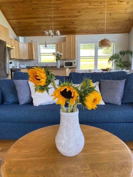 Cozy Chalet centrally located
