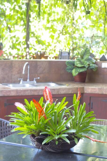 Villa Fuoricittà by drvacationsrental