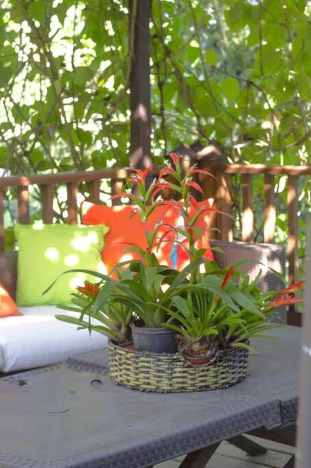 Villa Fuoricittà by drvacationsrental