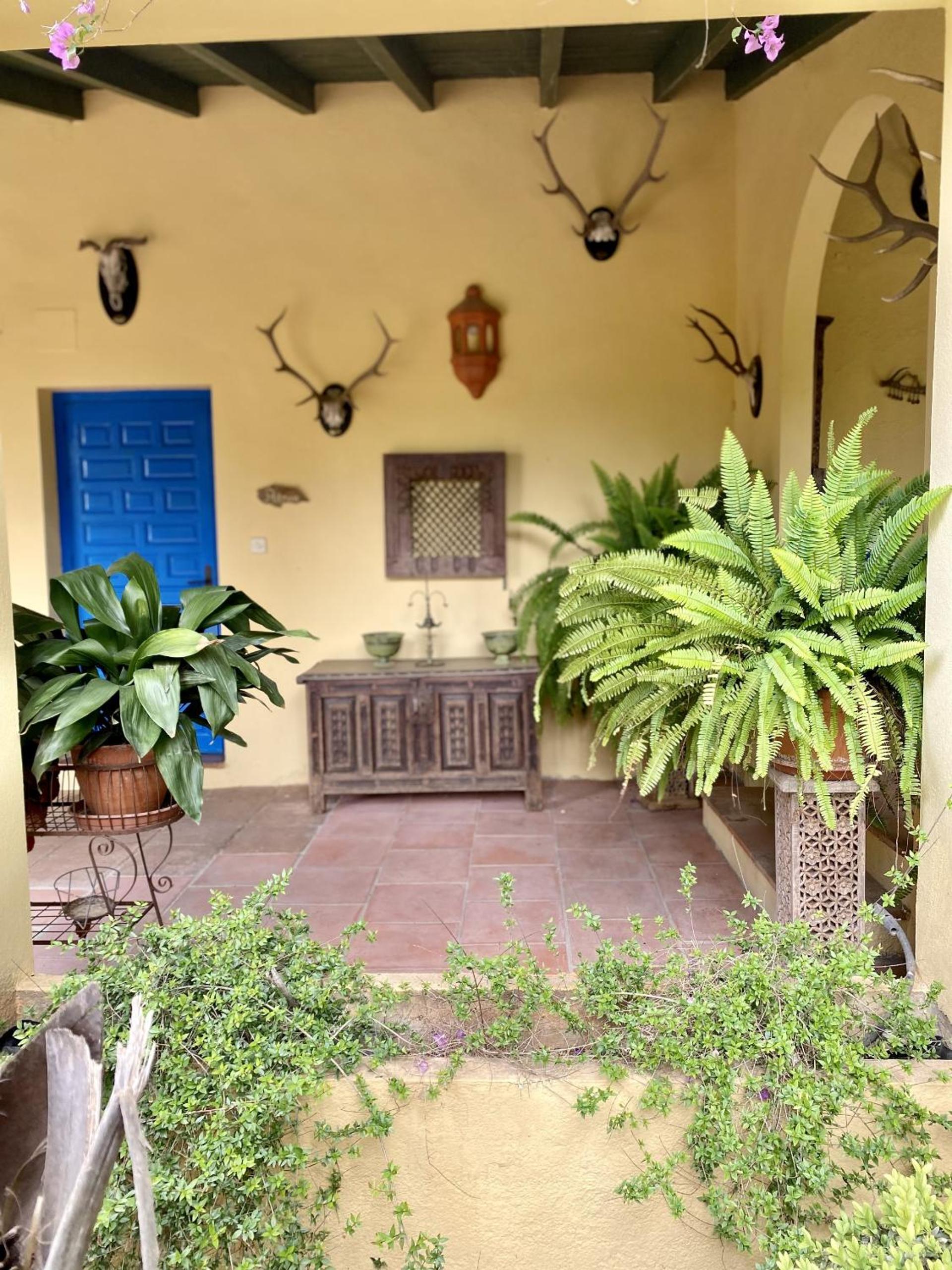 Finca La Alcolehuela
