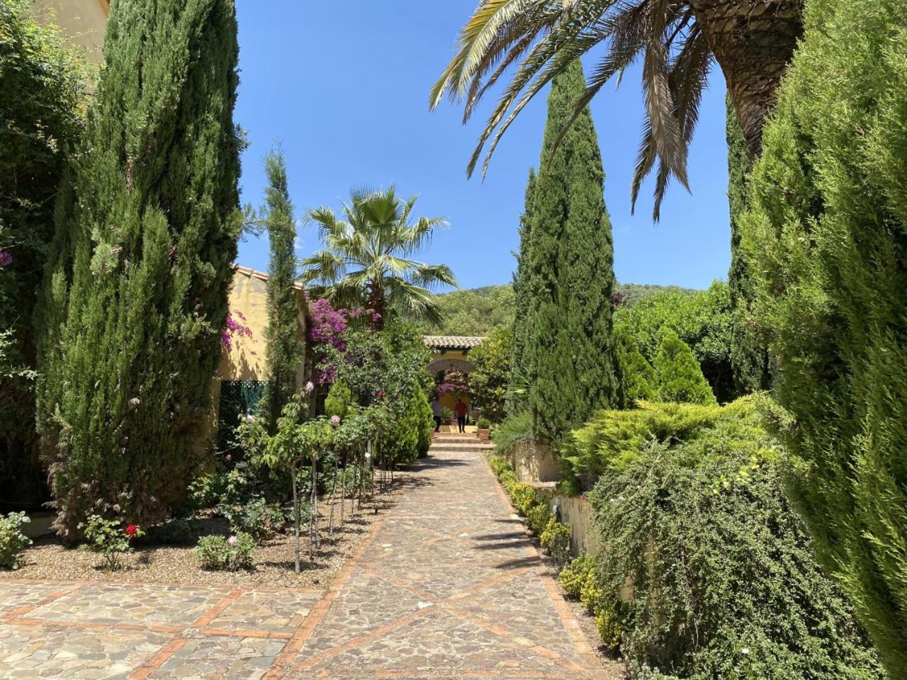 Finca La Alcolehuela