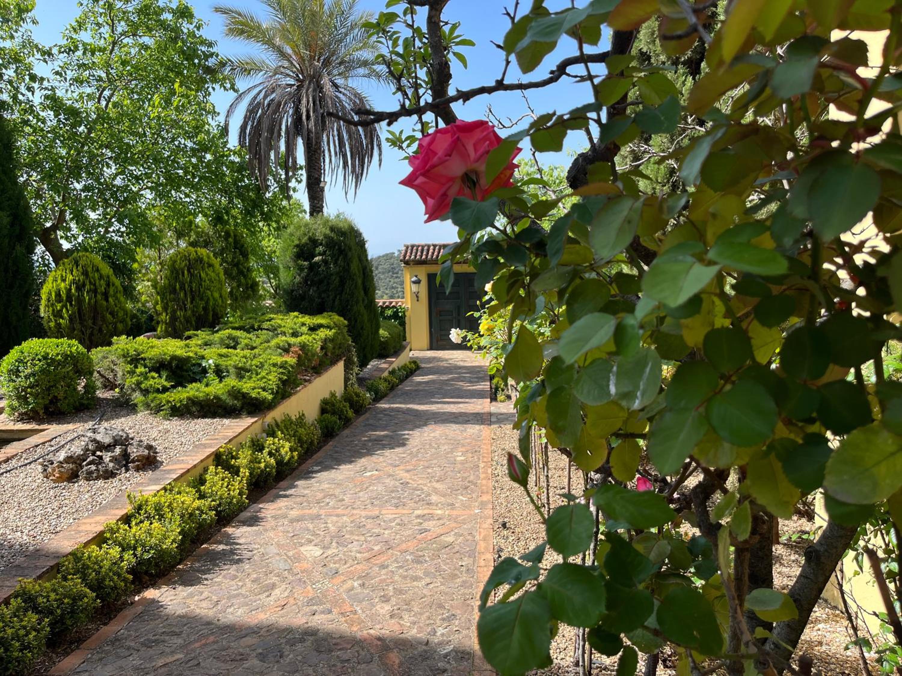 Finca La Alcolehuela
