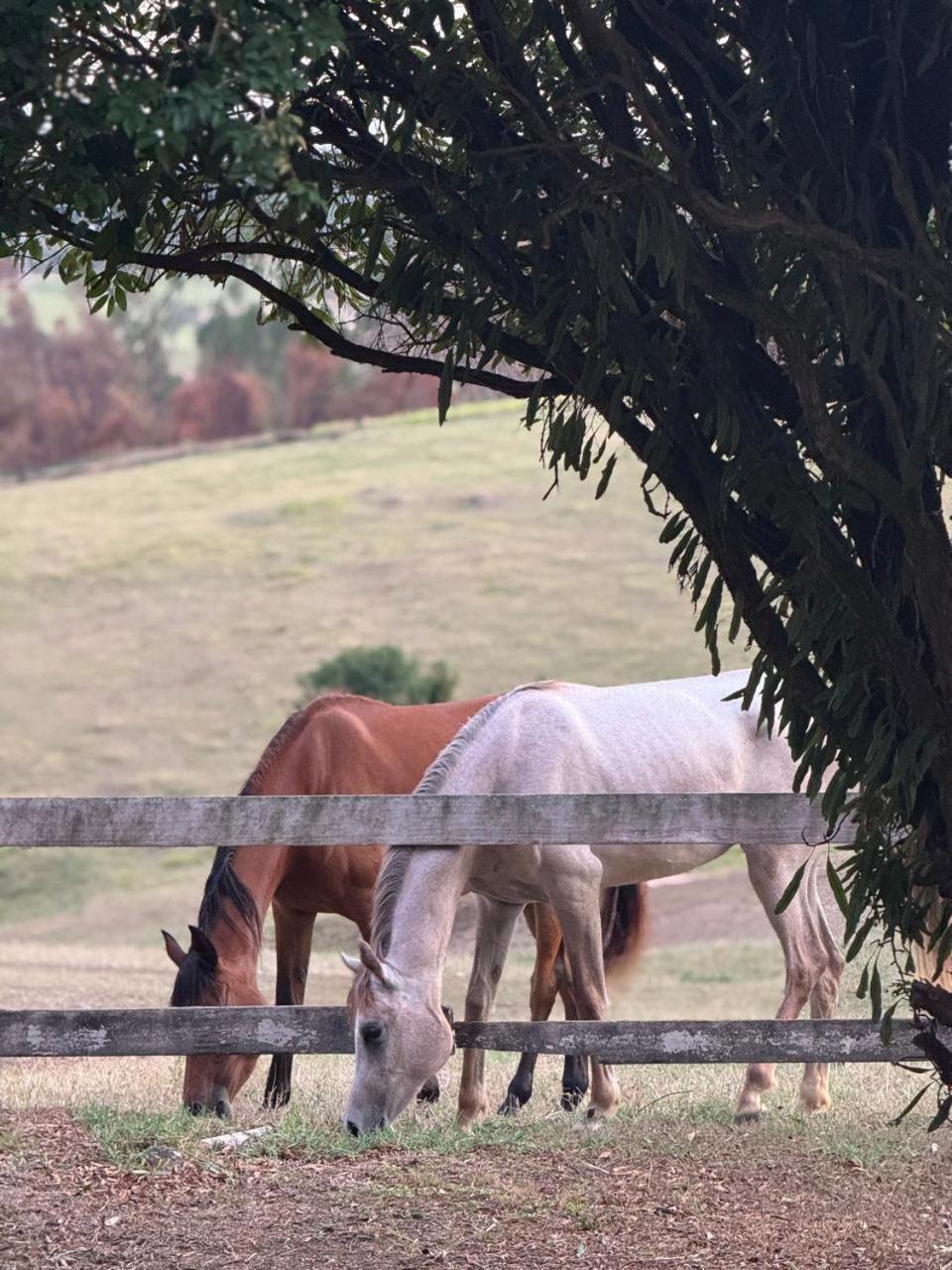Villa do Haras