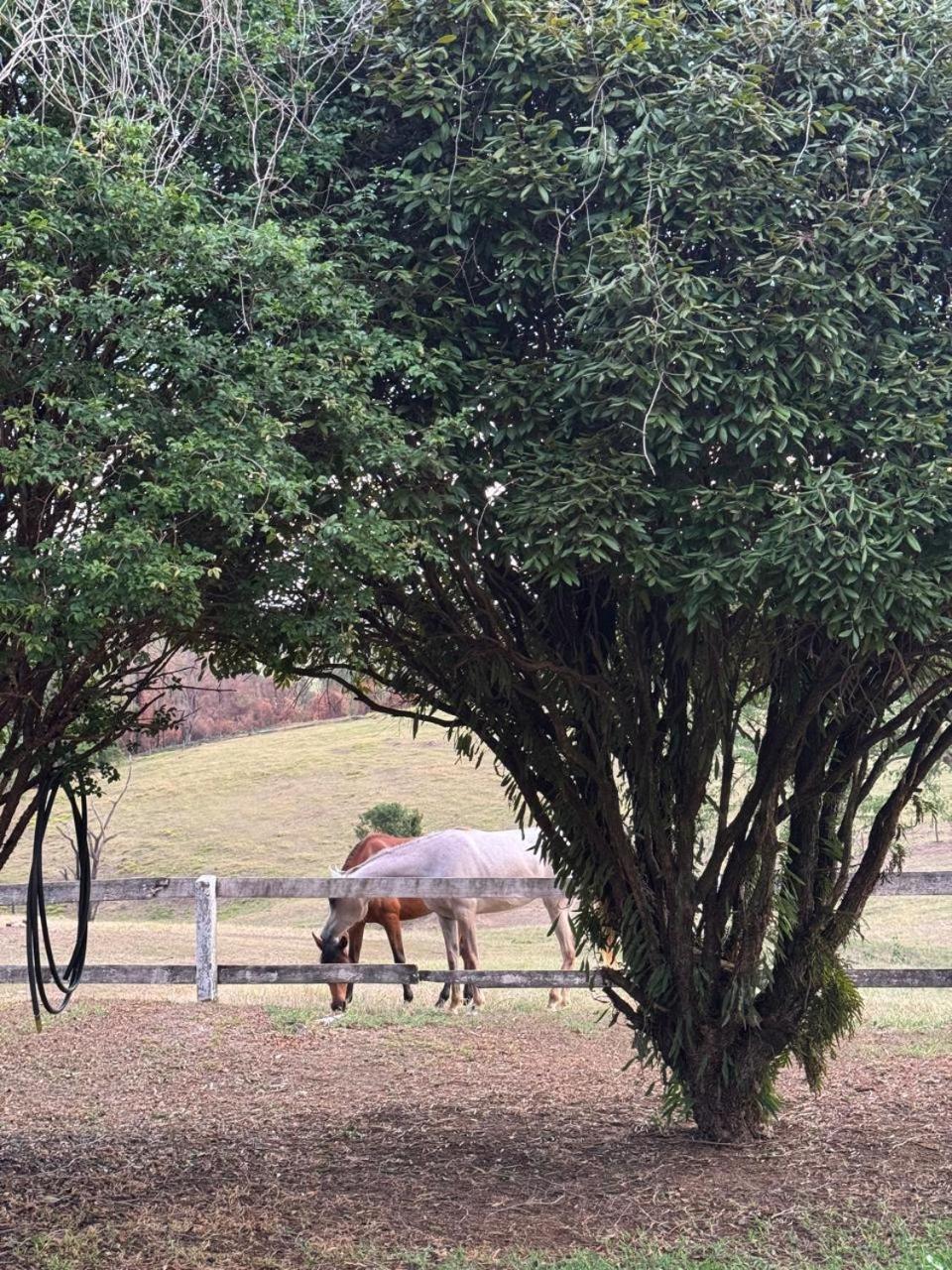 Villa do Haras