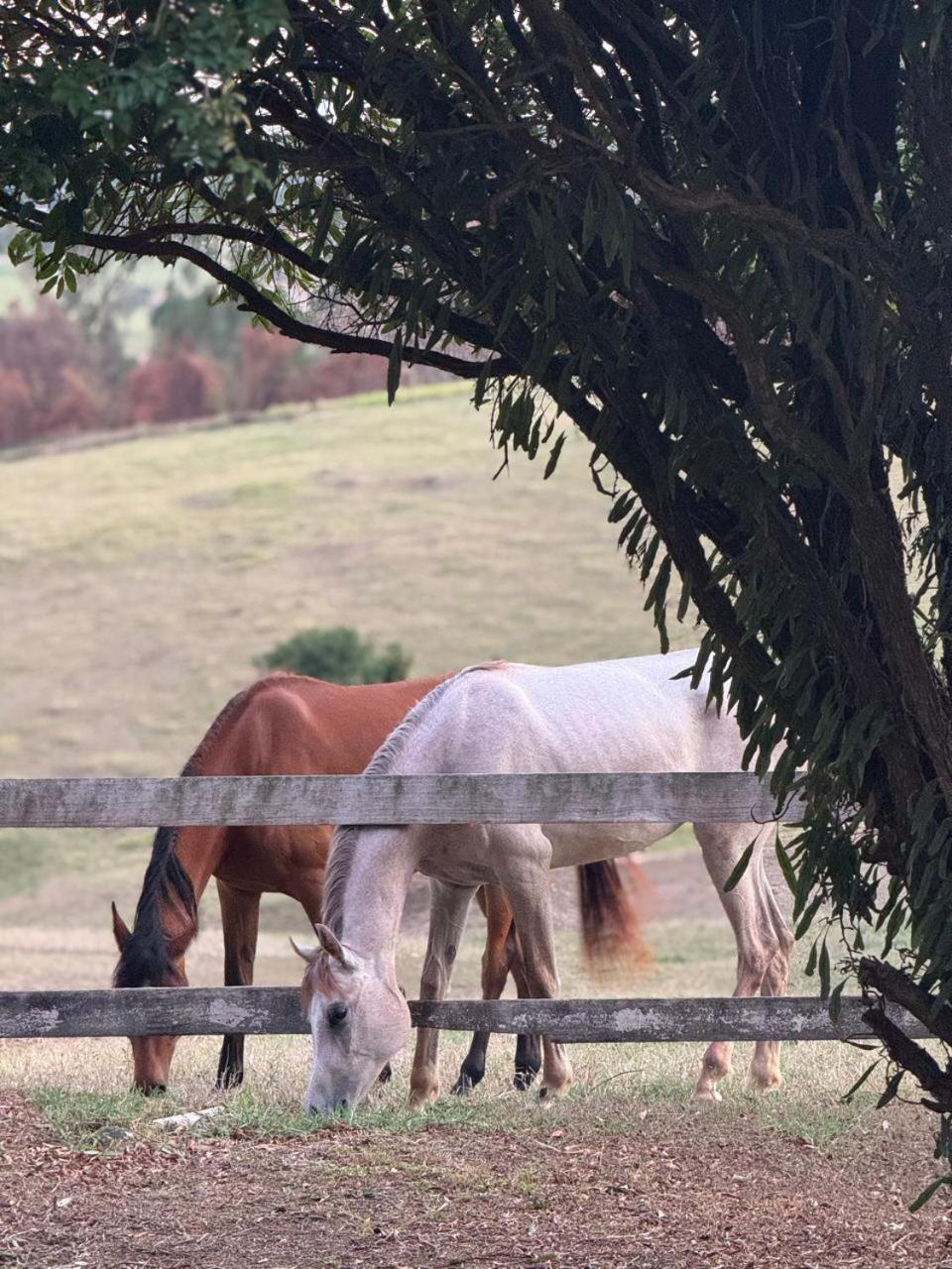 Villa do Haras