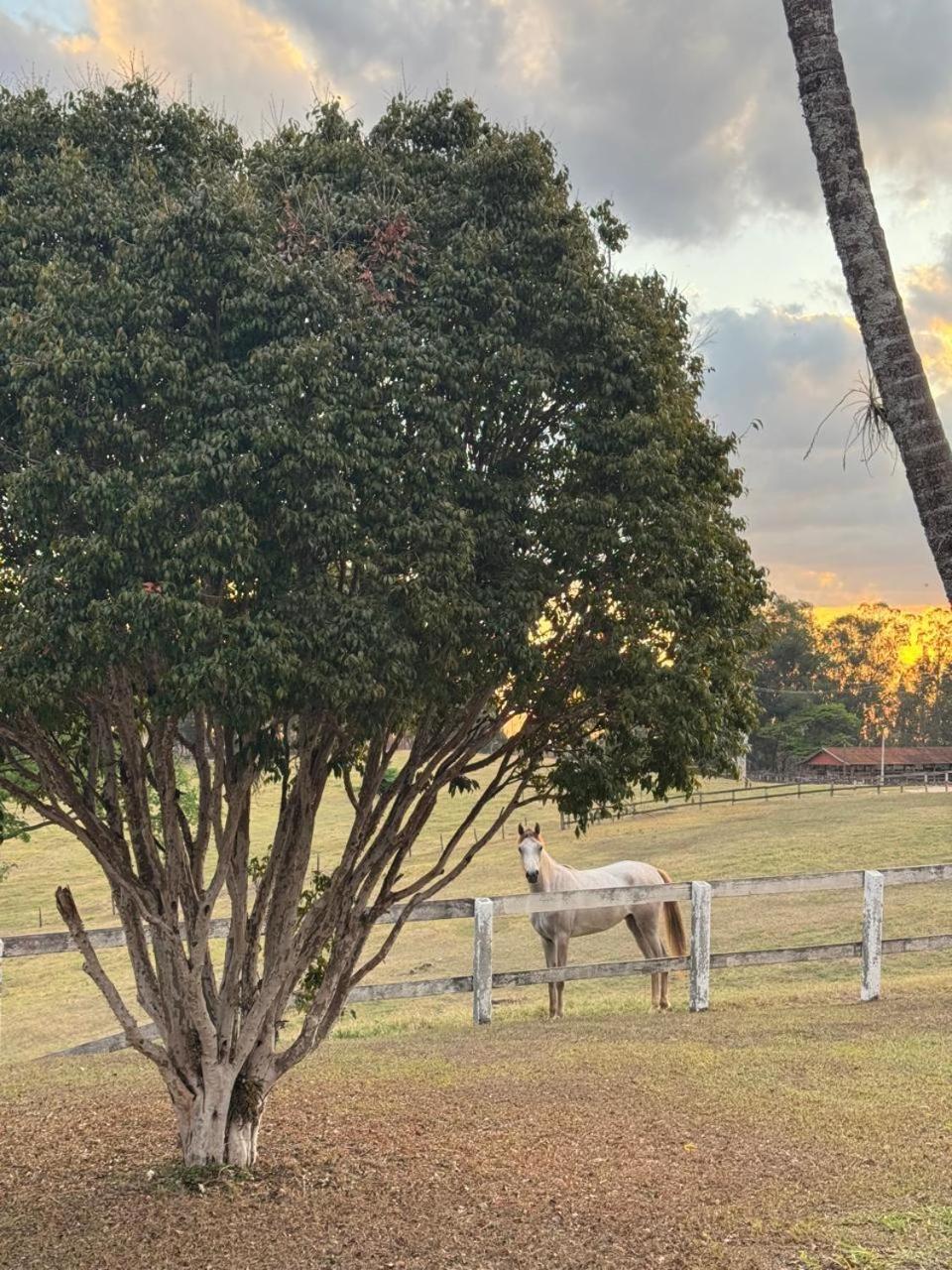Villa do Haras