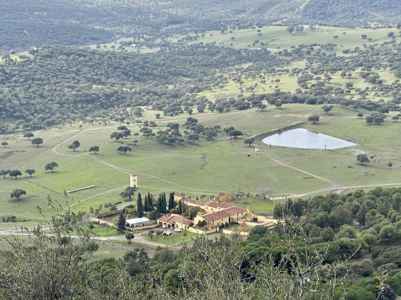 Finca La Alcolehuela