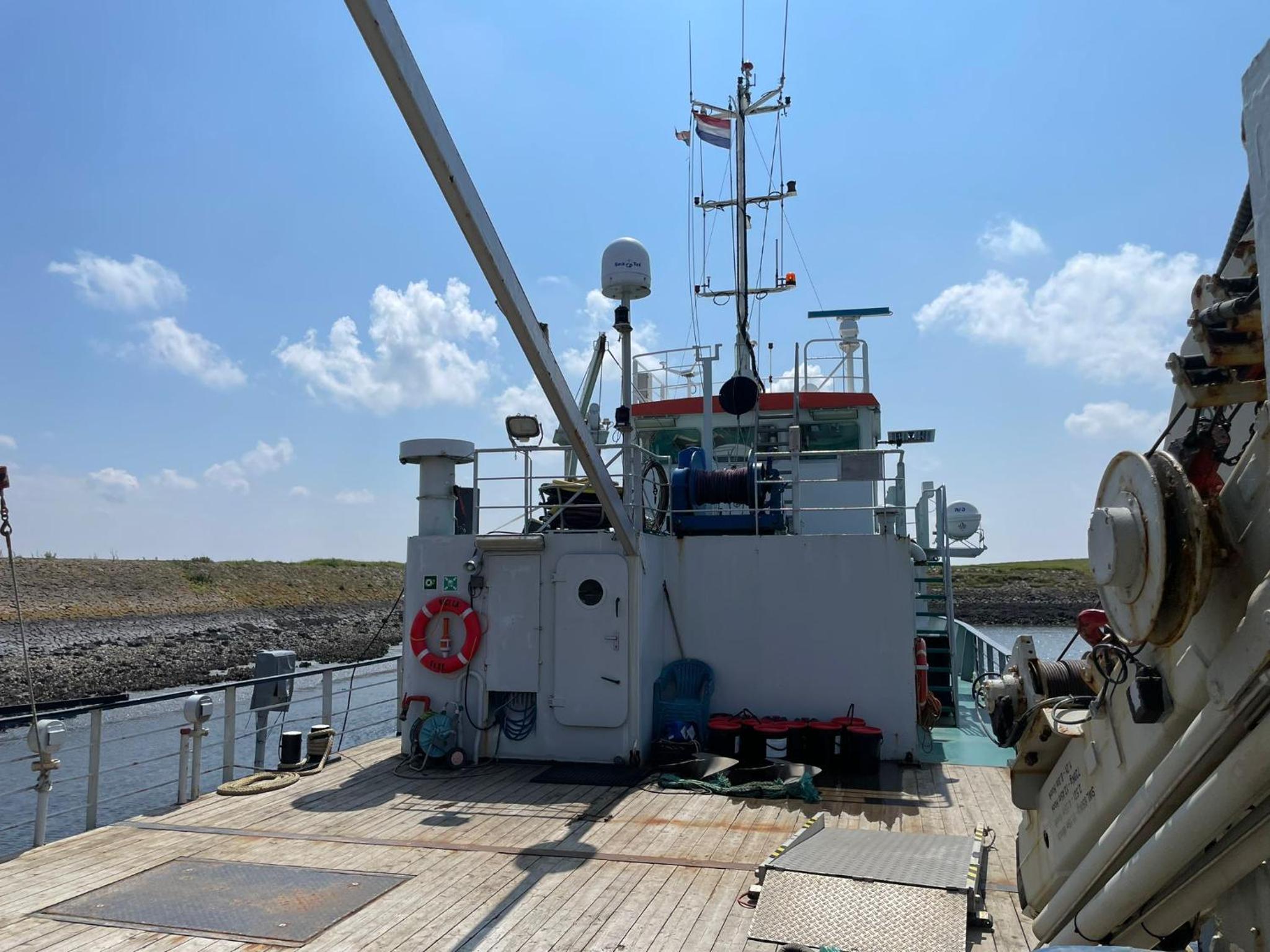 NaviculaStar