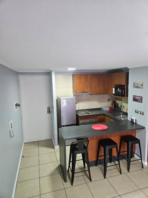 Acogedor Departamento en el centro de santiago