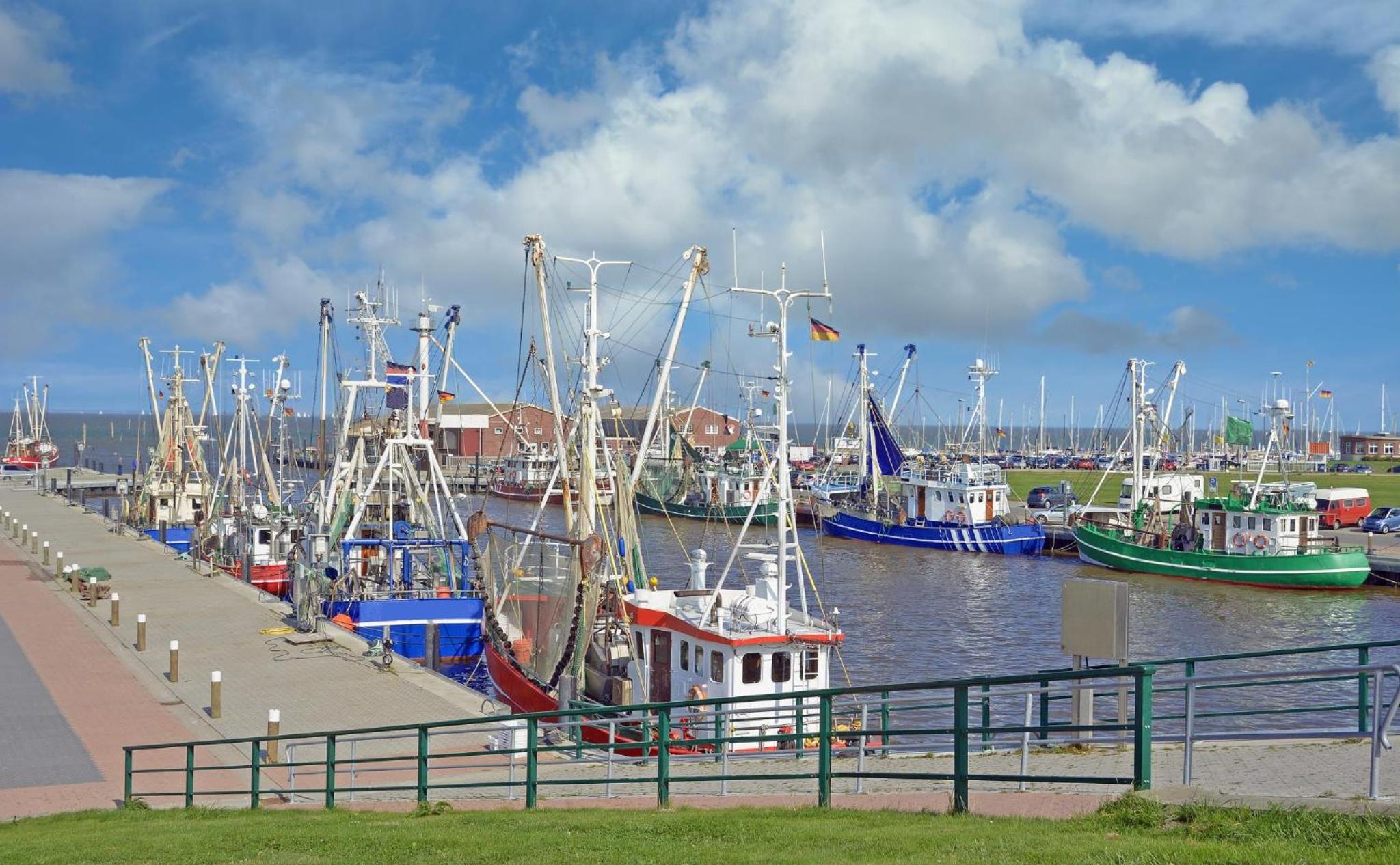 Ferienhaus Wattwurm