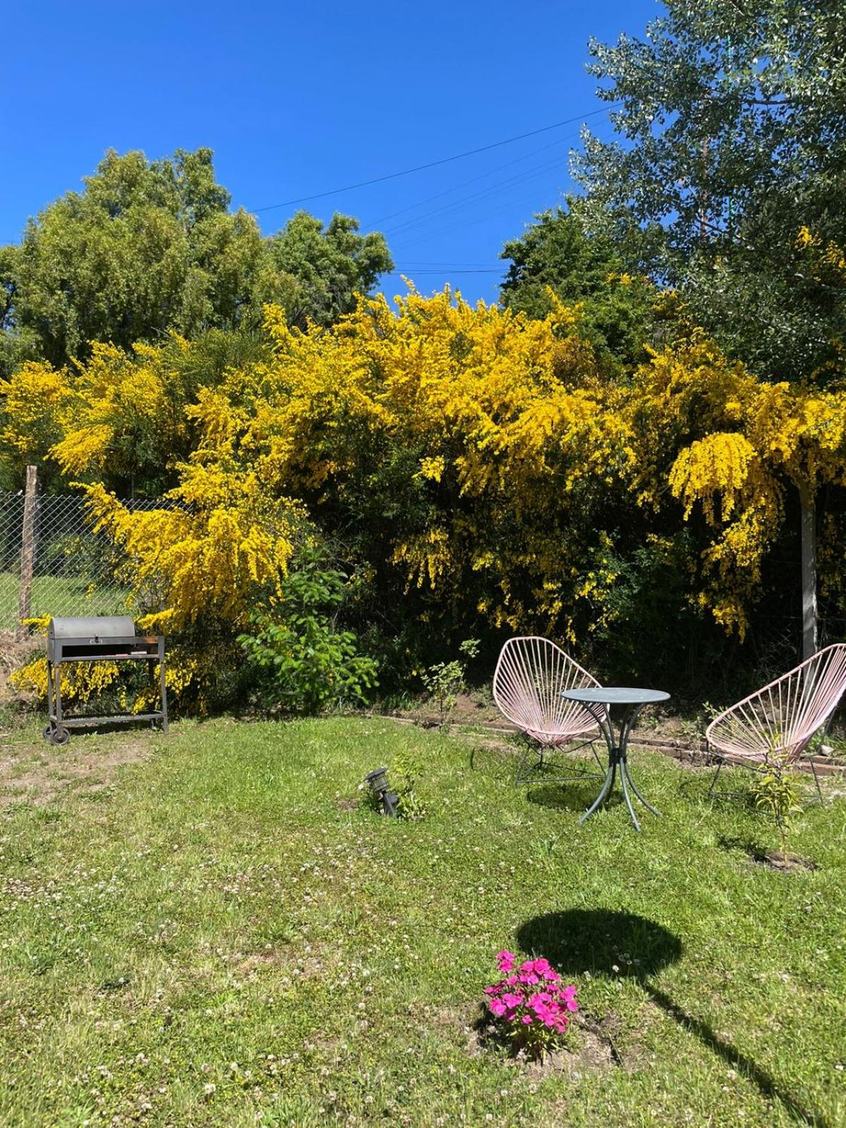 Las Moras