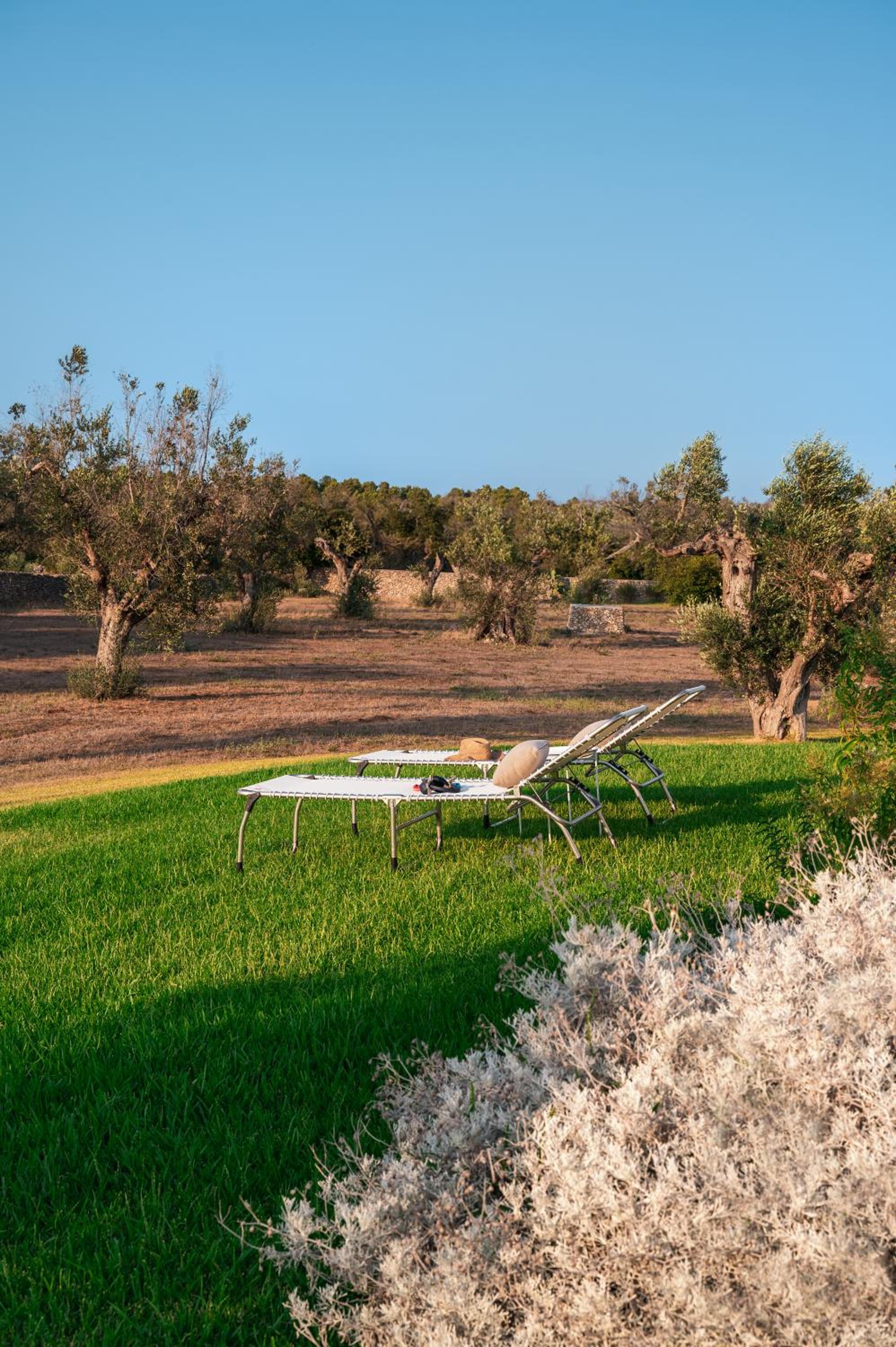 Villa 'Tenuta Quattro Volpi' view 4