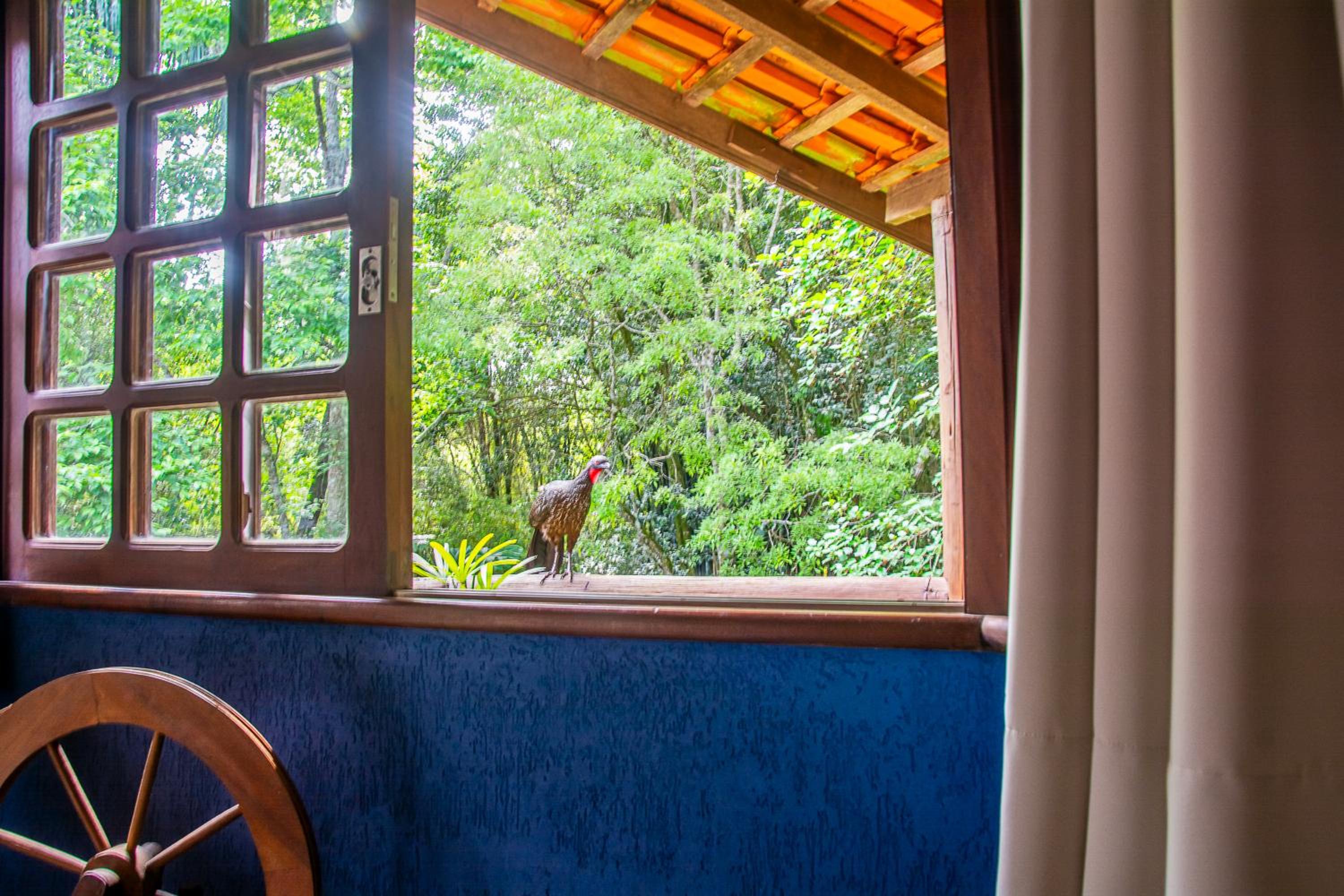 Casa do Tecelão - Refúgio, jardim e tranquilidade