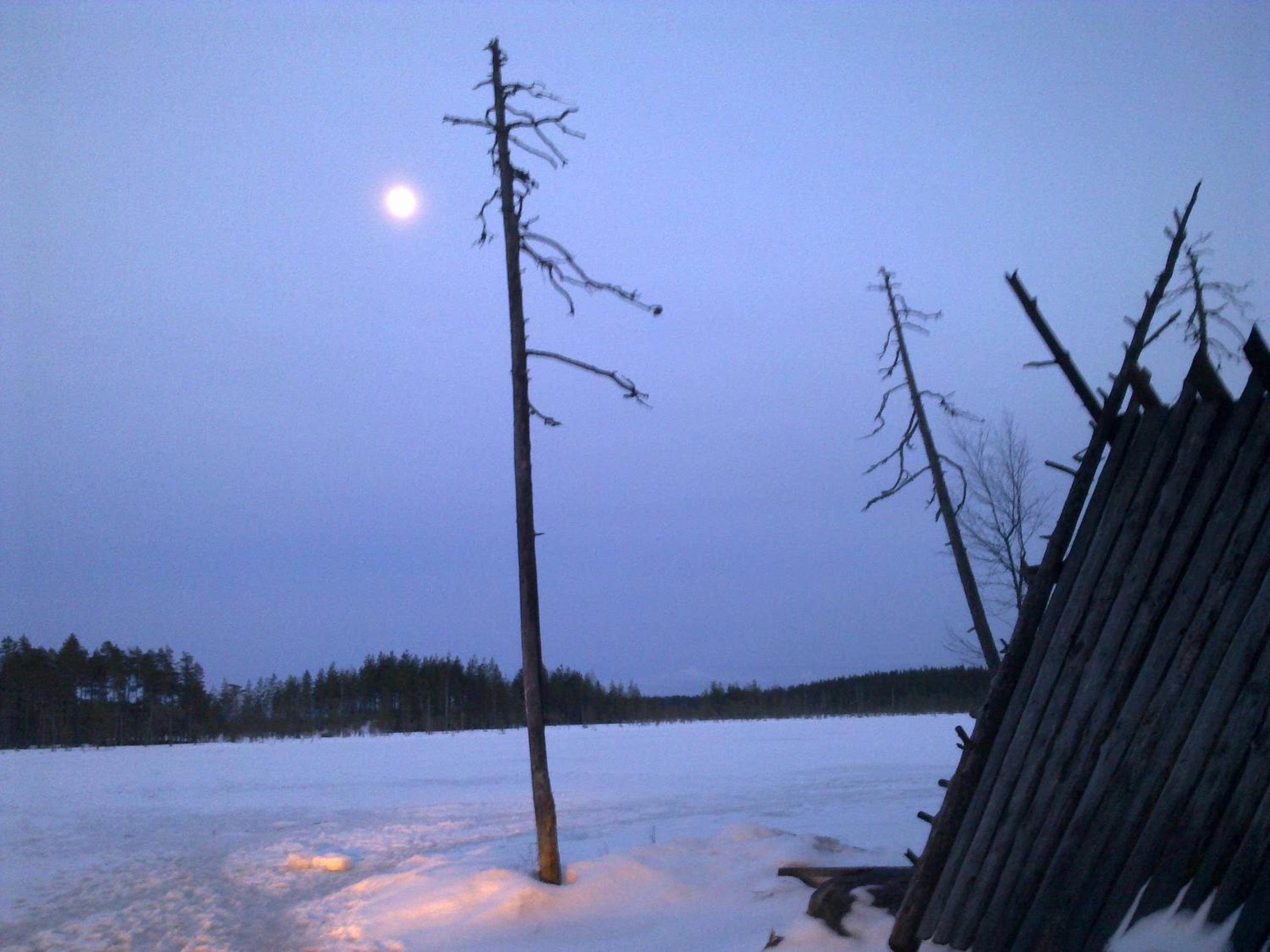 Photo 22