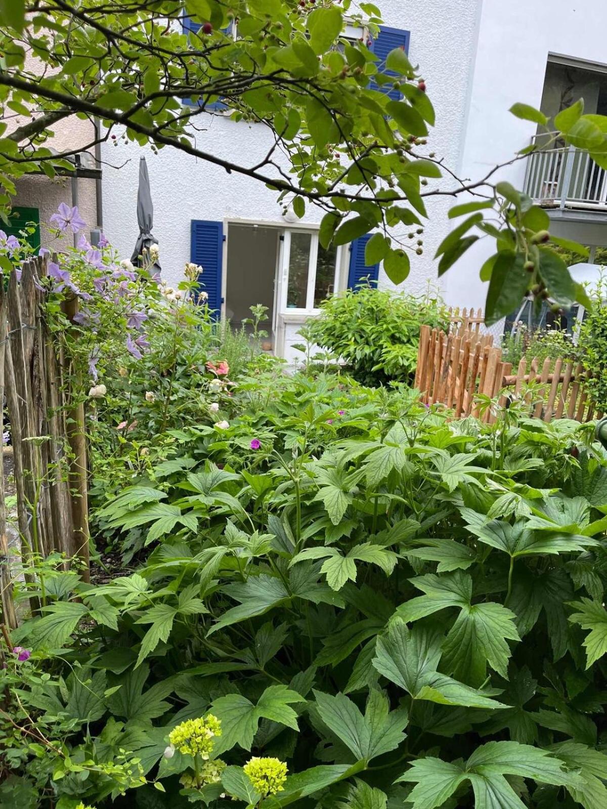 Letzigrund studio apartment with private garden