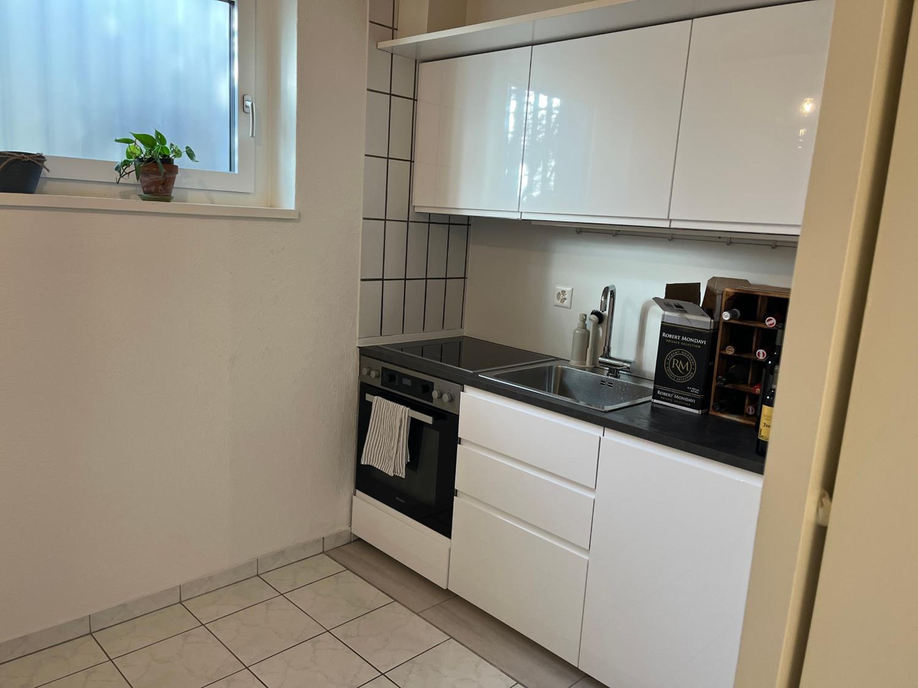 Letzigrund studio apartment with private garden