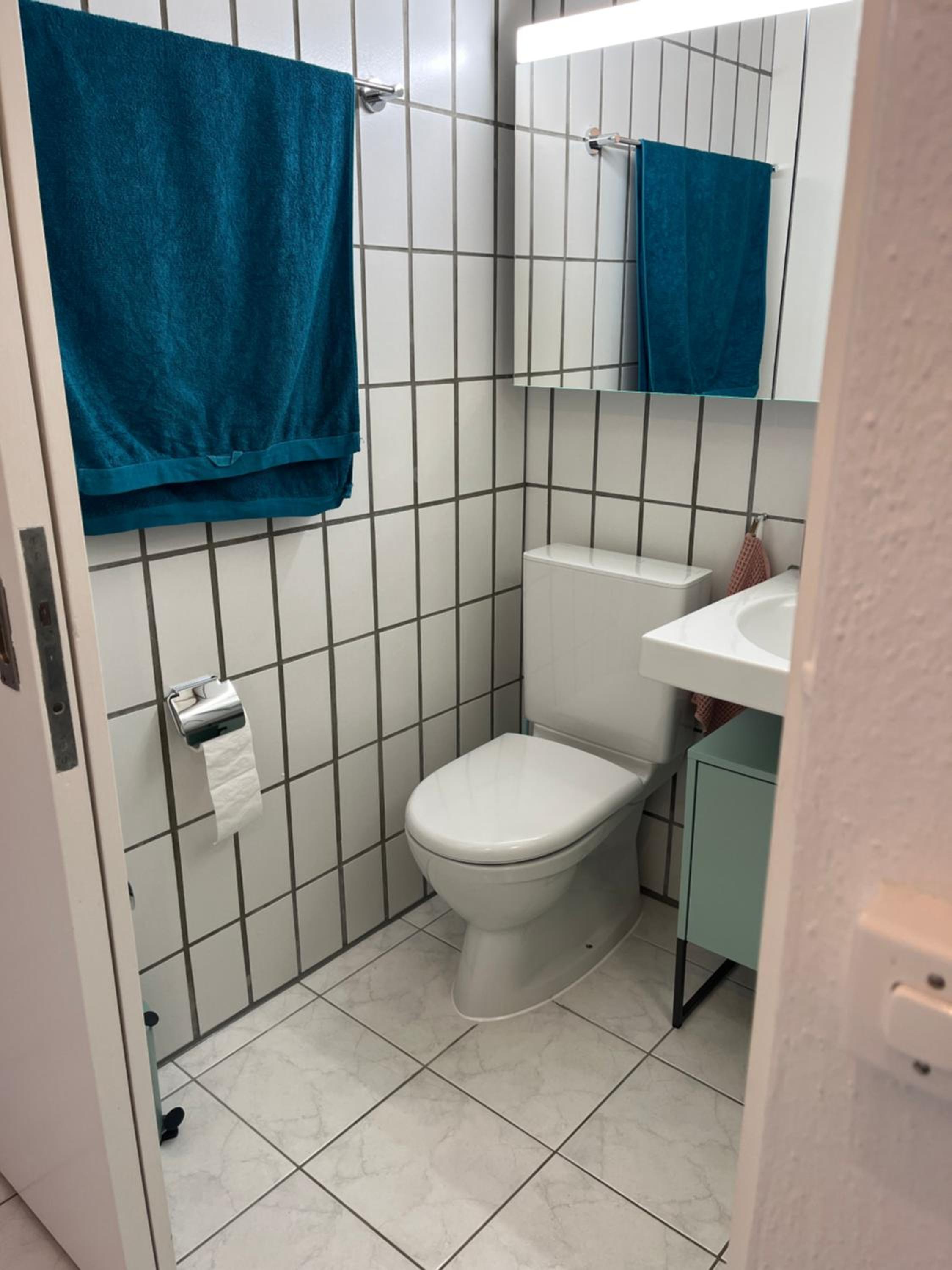 Letzigrund studio apartment with private garden