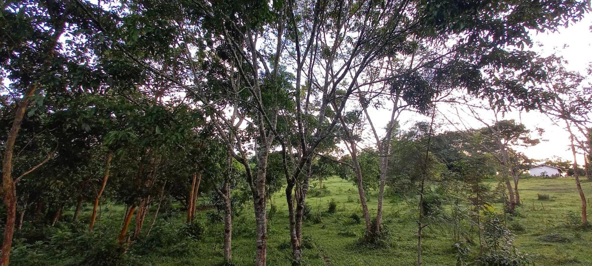 Rwekyapa Agro eco-tourism and learning center