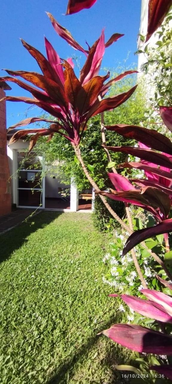 - Casa Jacarandá- quincho, garaje-consultá mascota -50 mts de la avenida principal