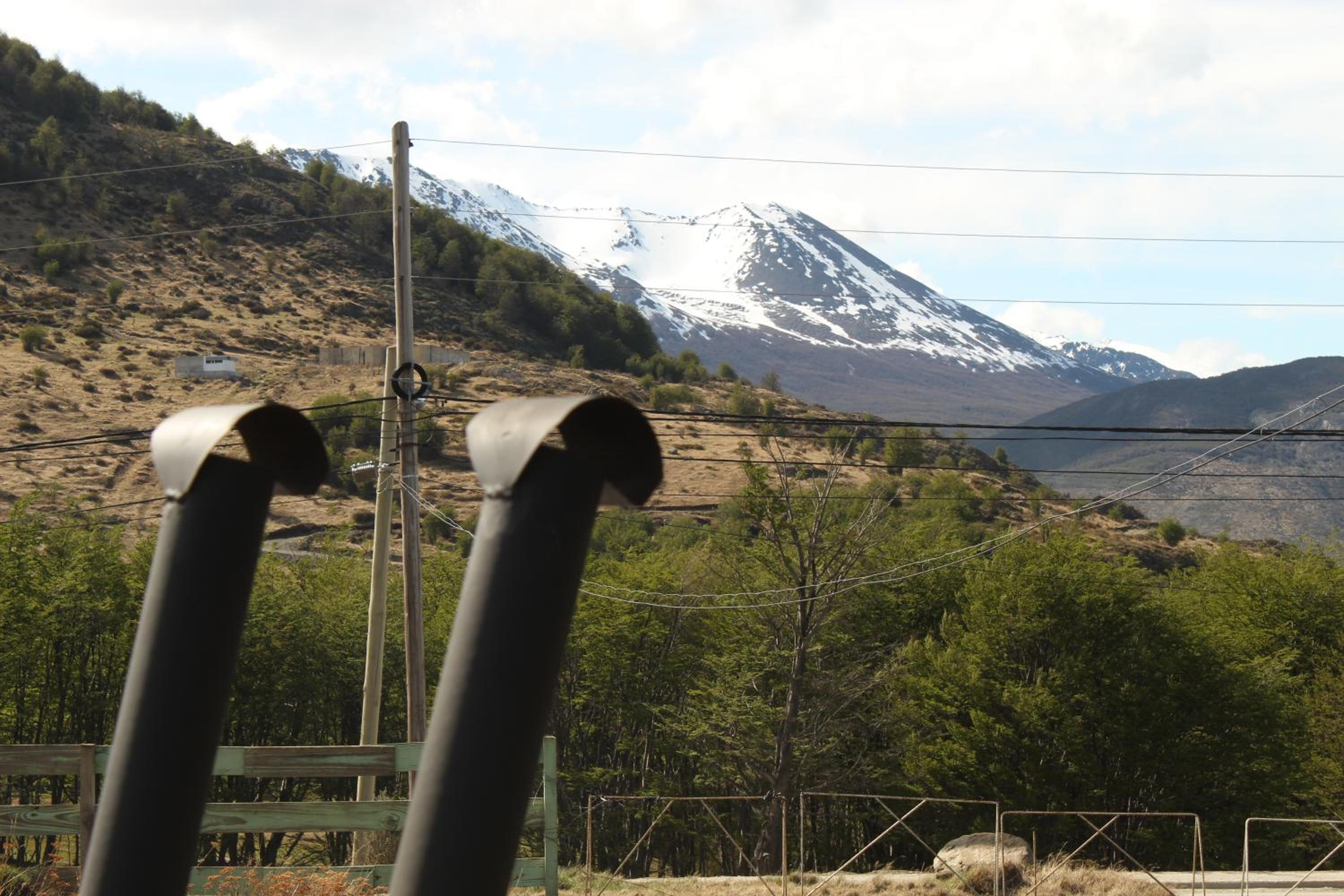 USHUAIA VALLE de ANDORRA CARDOS y MAICES