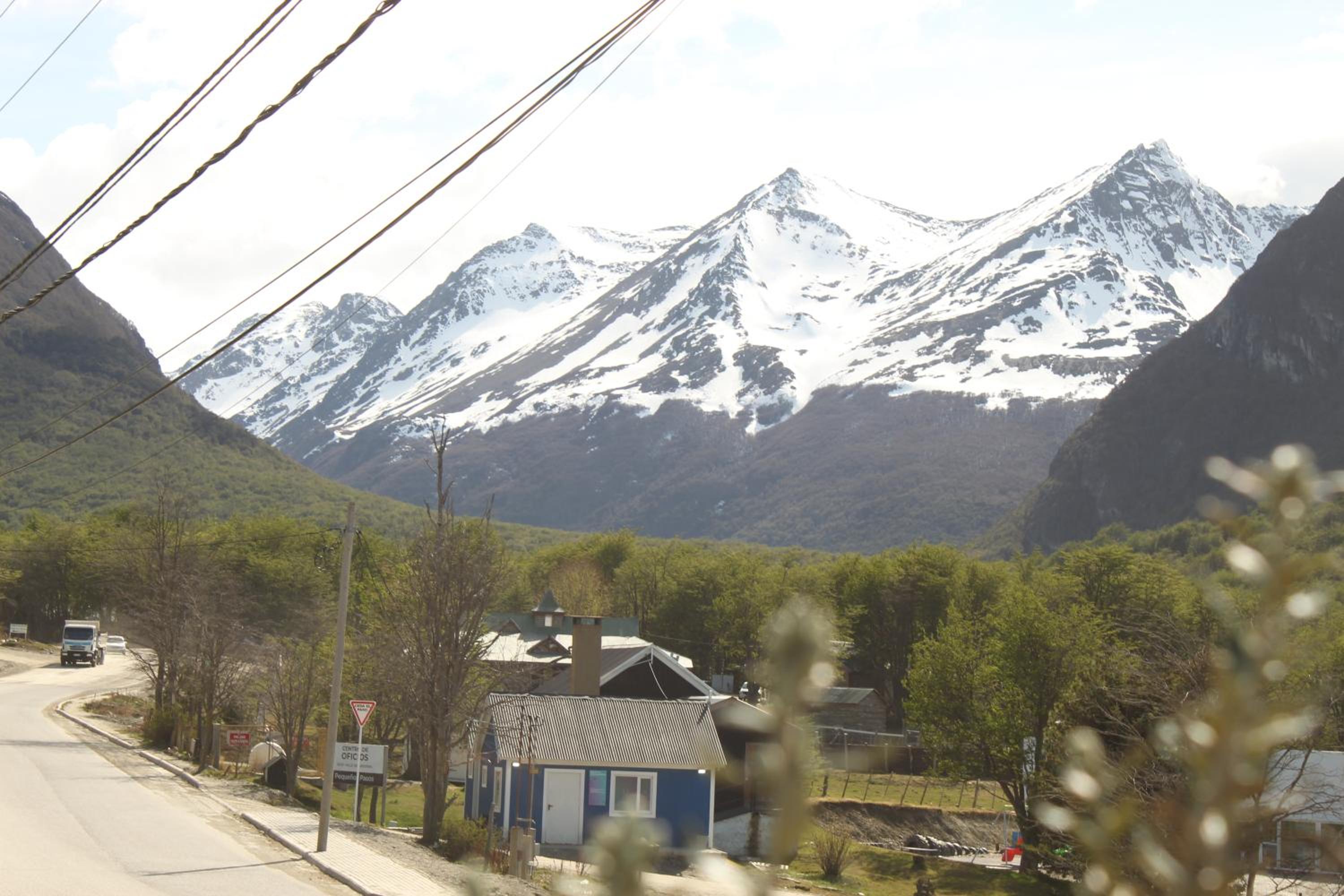 USHUAIA VALLE de ANDORRA CARDOS y MAICES