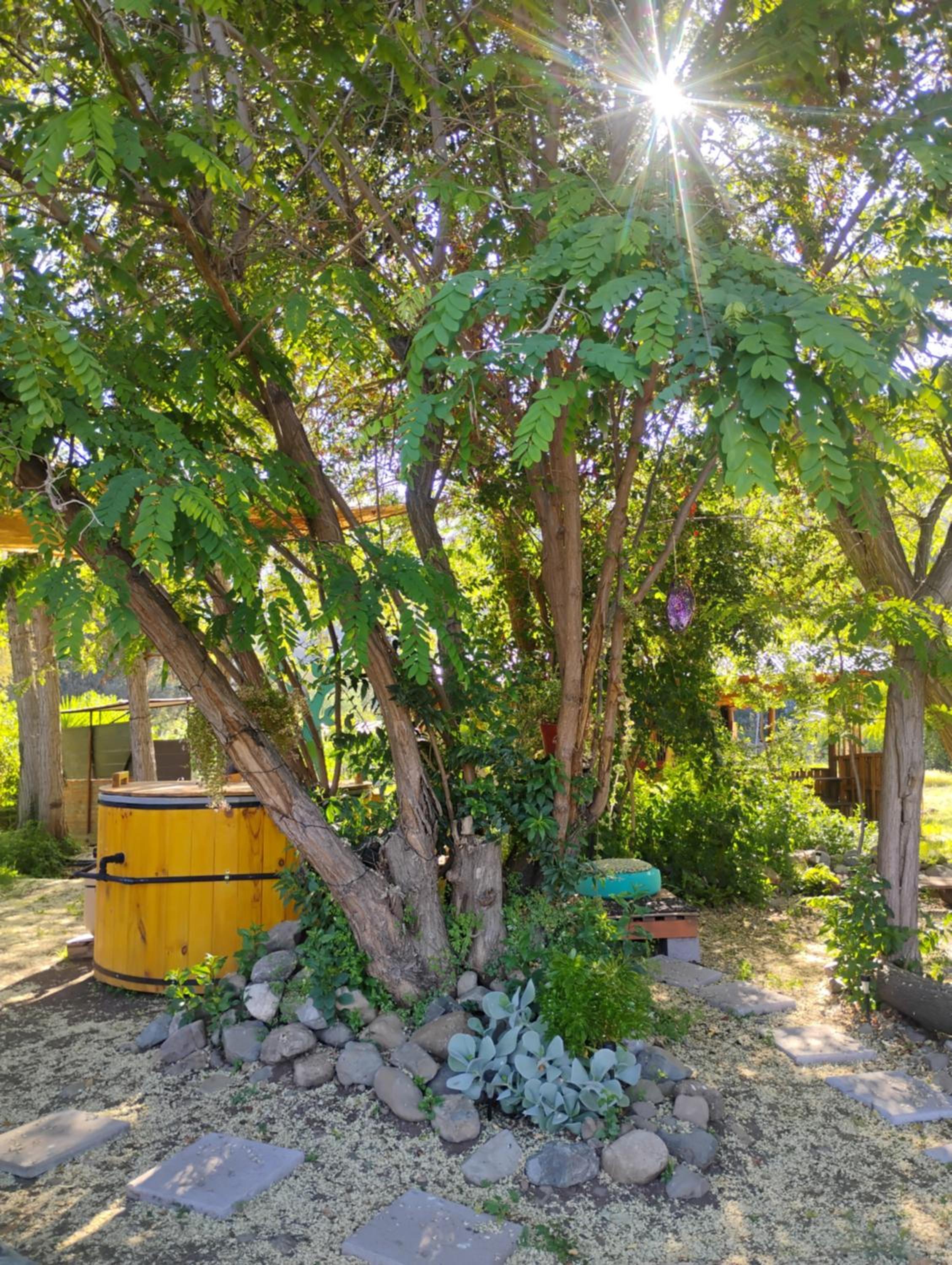 Lodge Rincon Nativo