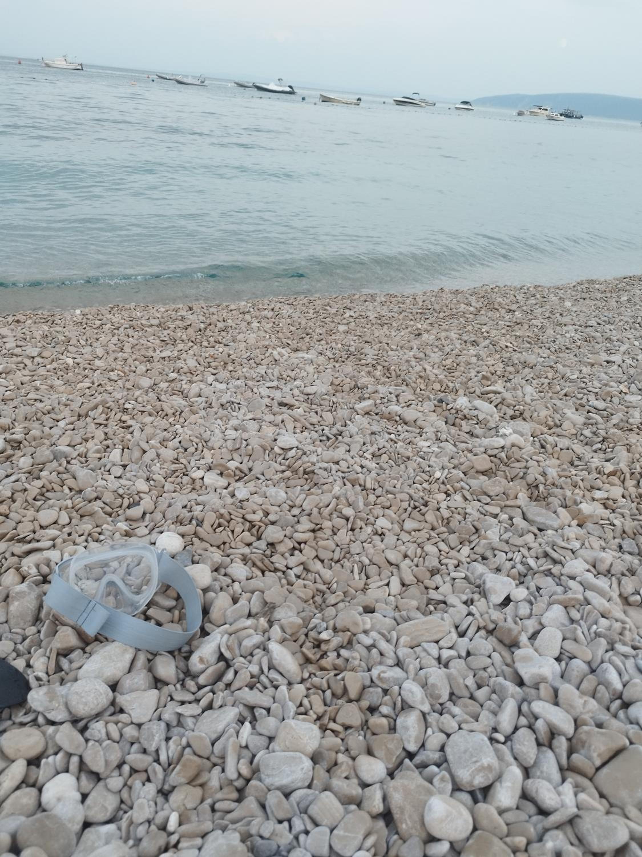 Photo 201