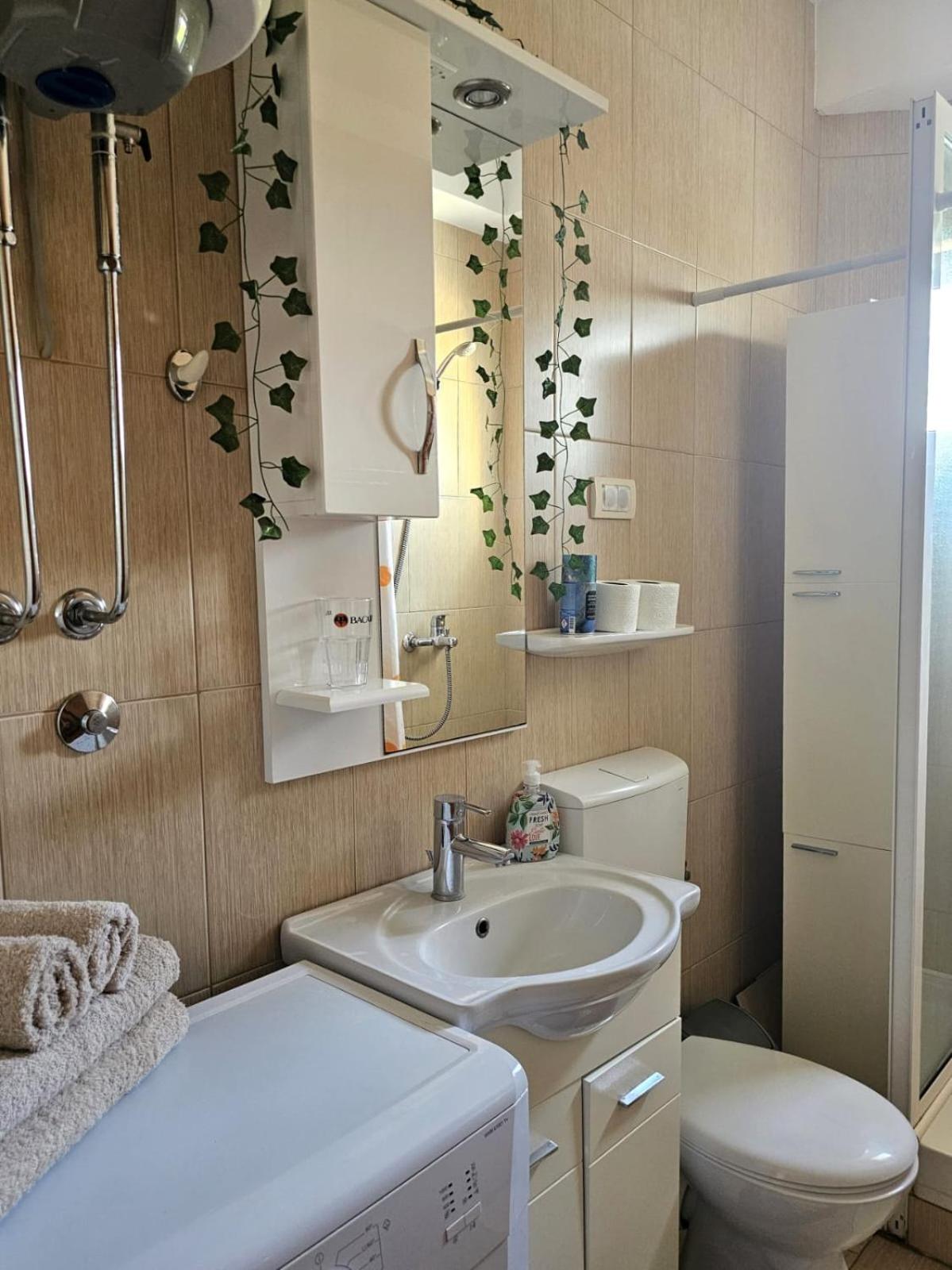 Apartmani Vesić