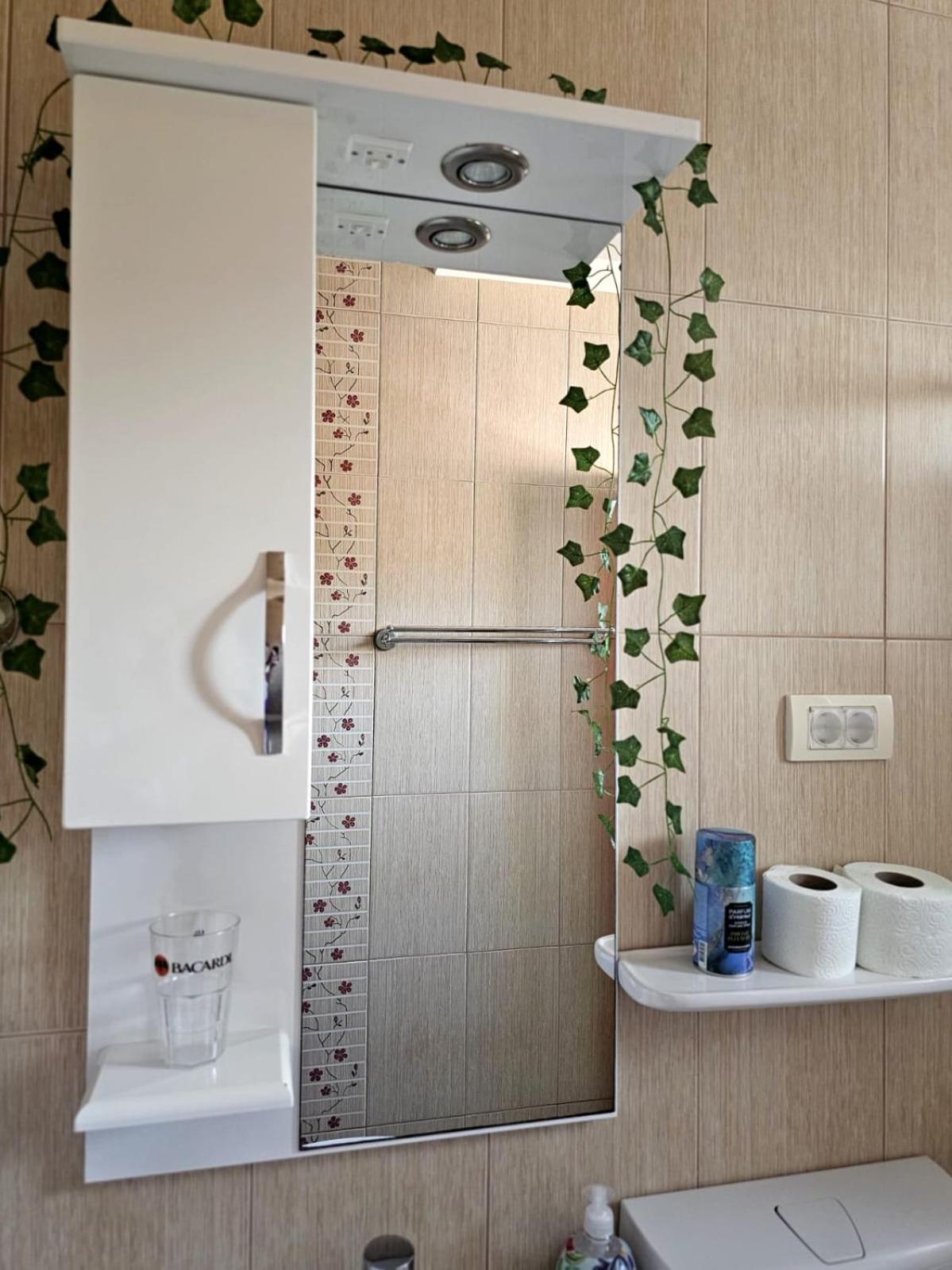 Apartmani Vesić