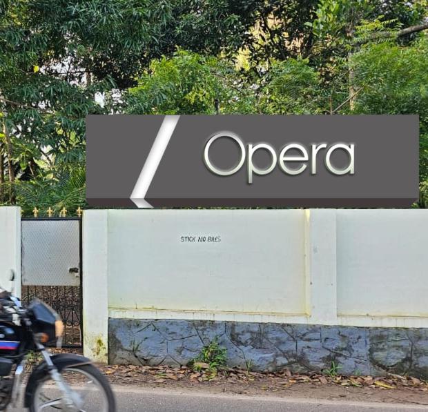 The Opera Homestay view 2