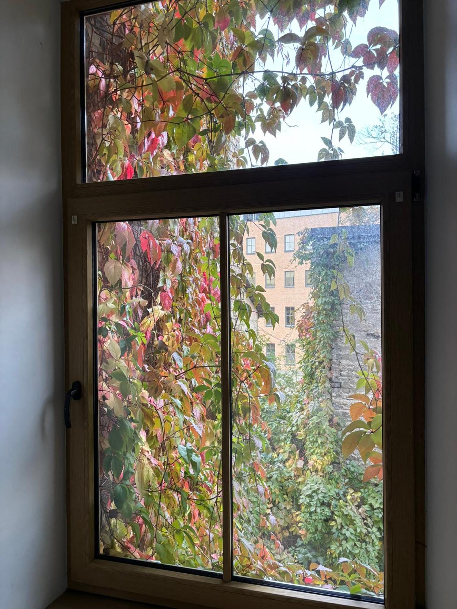 Cozy & Quiet Old Town Apartment view 2