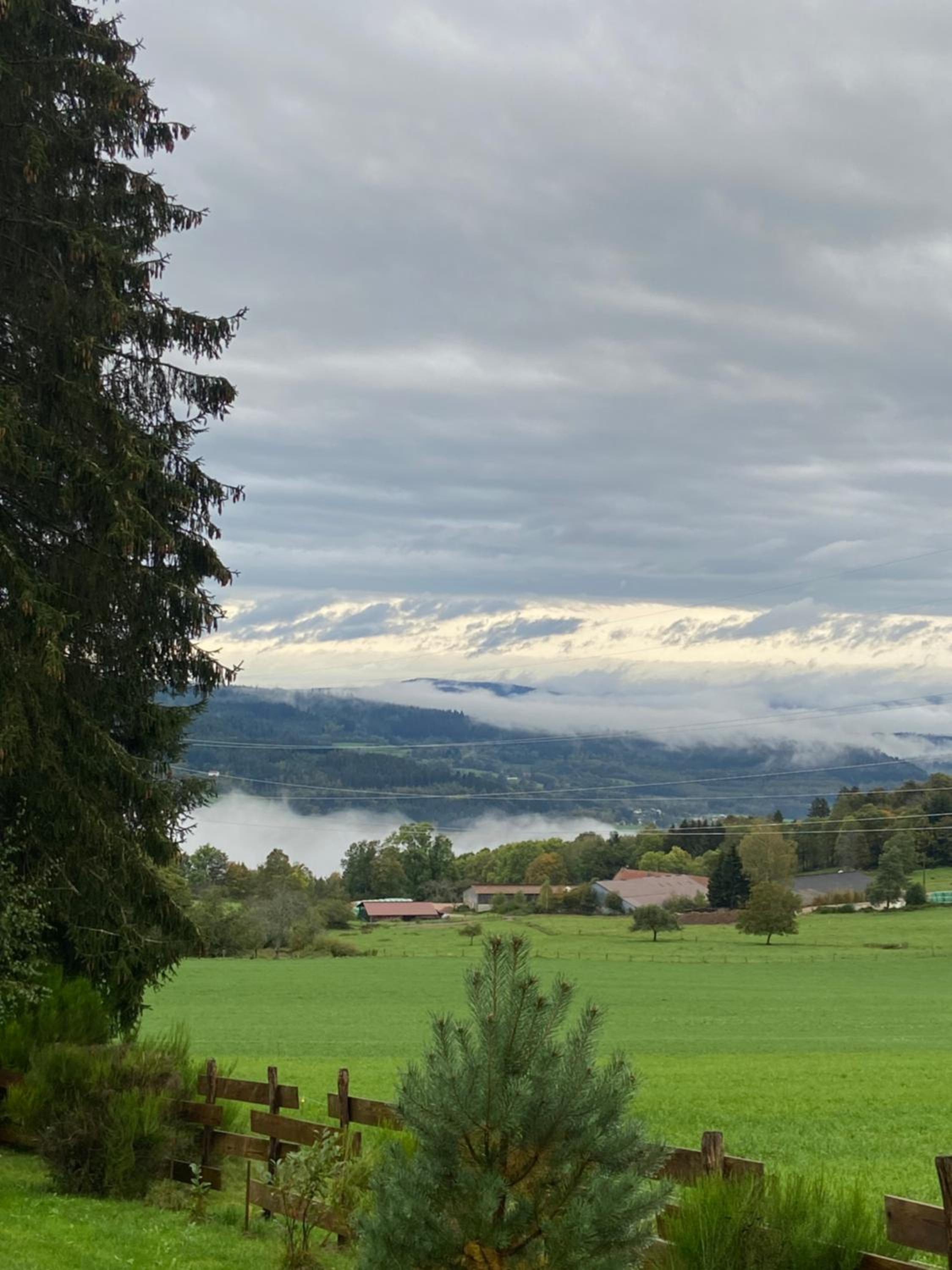 Chalet bois au calme, en lisière de forêt, balcons, sentiers balades Gérardmer & Alsace 
