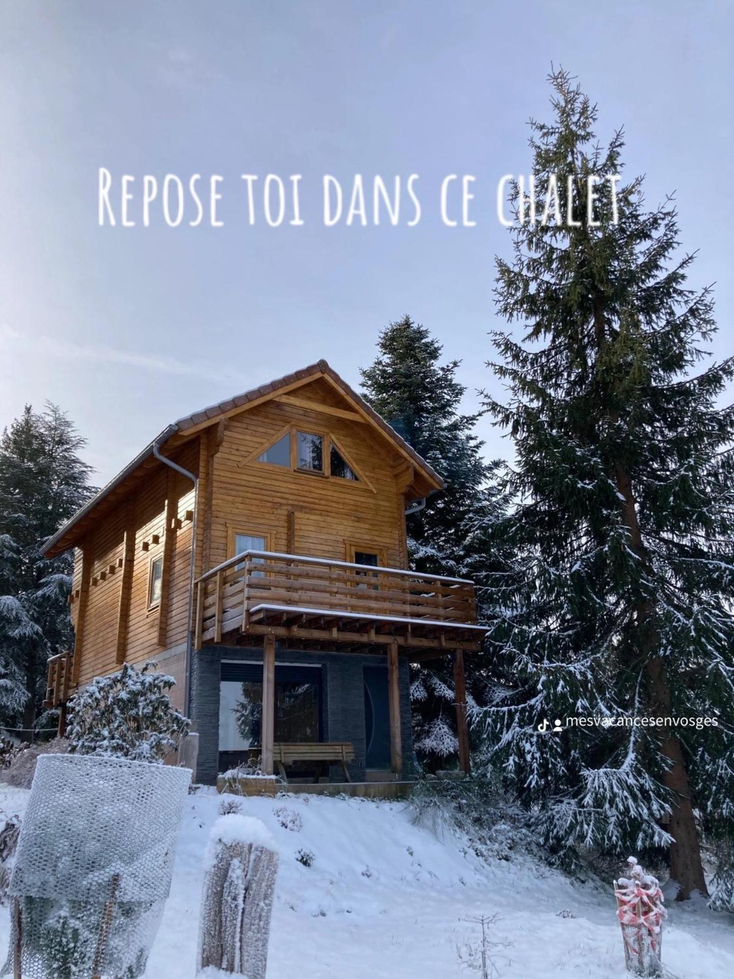 Chalet bois au calme, en lisière de forêt, balcons, sentiers balades Gérardmer & Alsace 