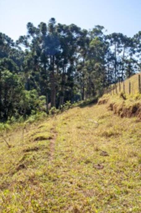 Canto Mauri Espaço e Conforto na Montanha