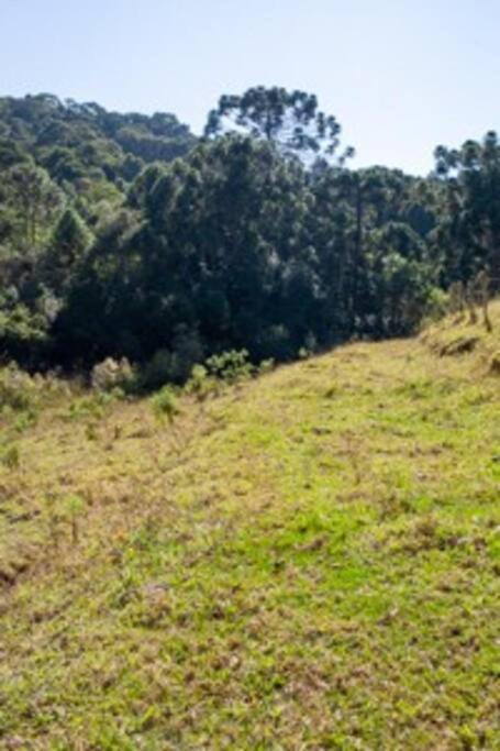 Canto Mauri Espaço e Conforto na Montanha