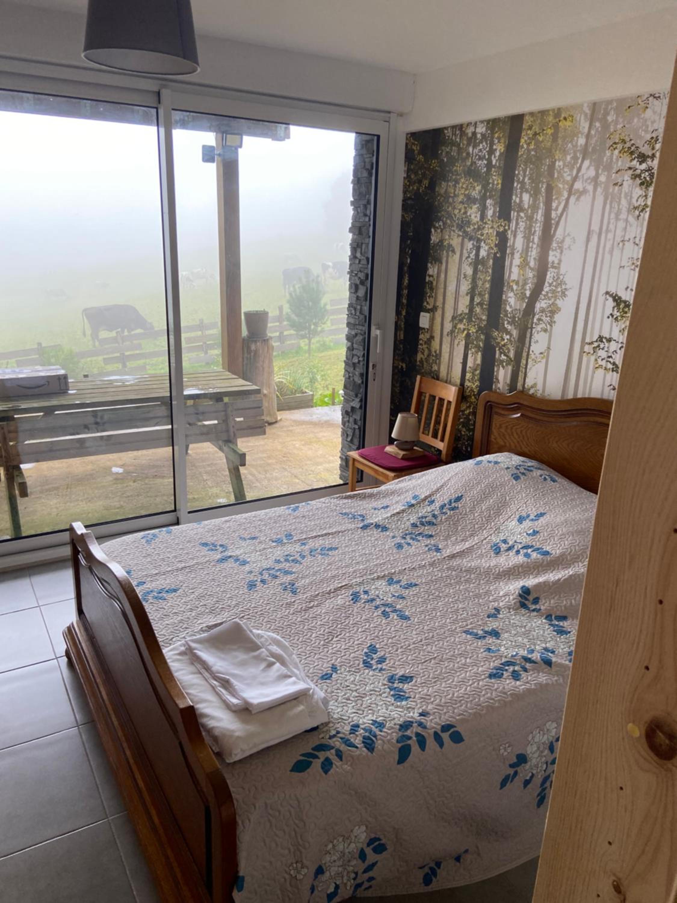 Chalet bois au calme, en lisière de forêt, balcons, sentiers balades Gérardmer & Alsace 