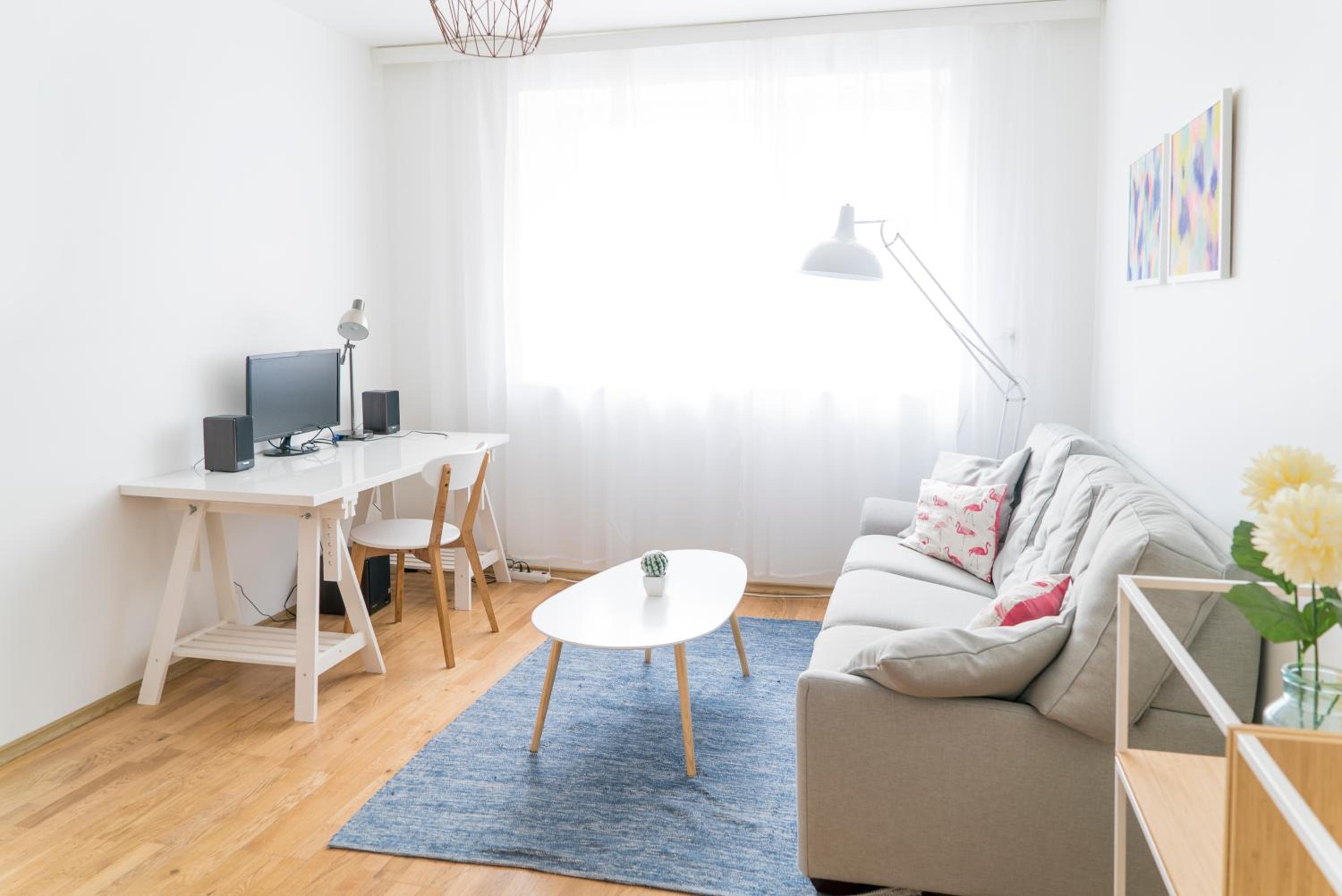 Private apartment with a great view over Toomemägi