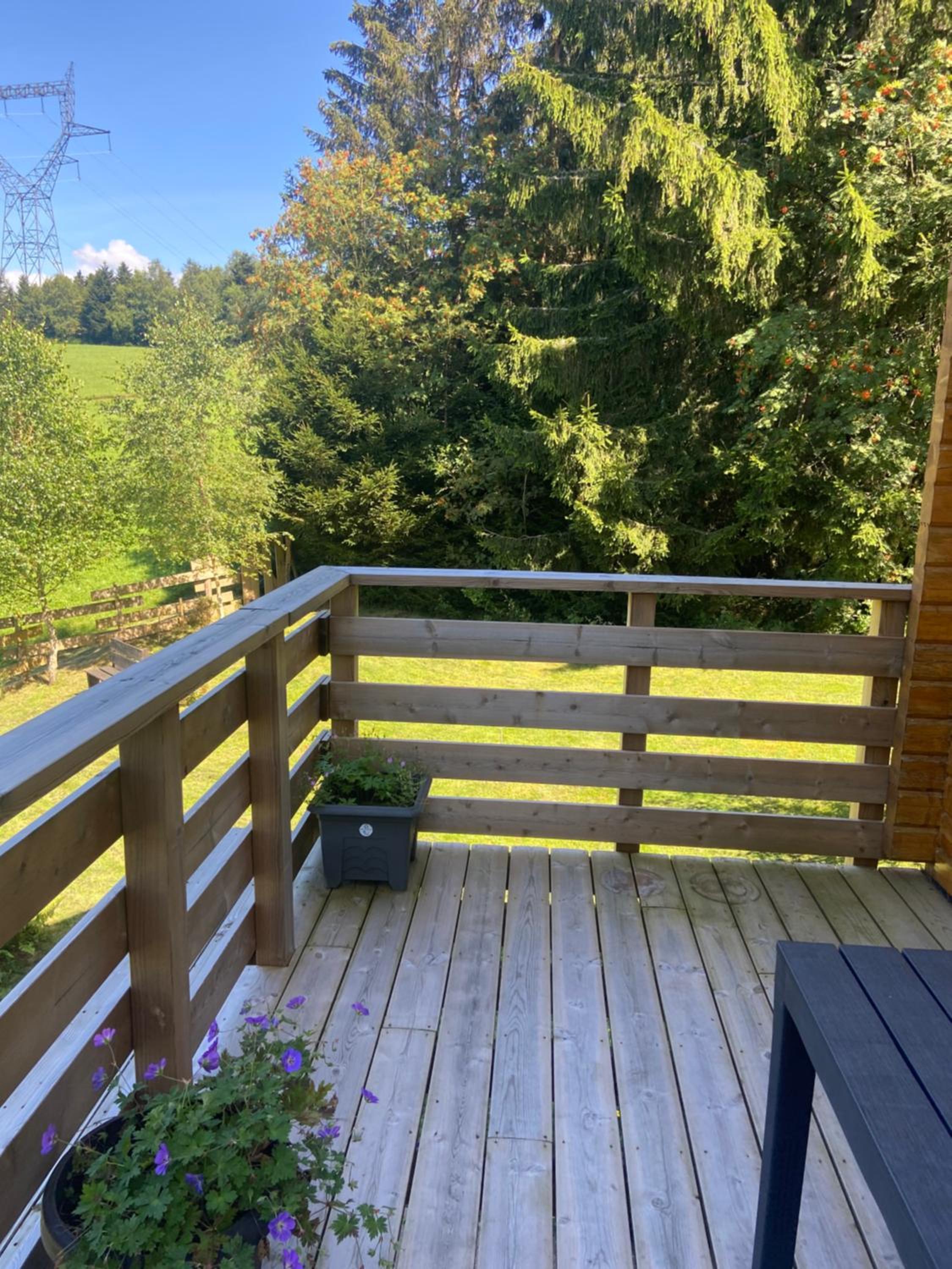 Chalet bois au calme, en lisière de forêt, balcons, sentiers balades Gérardmer & Alsace 