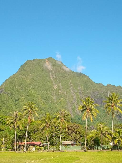 Nui Loft and Pool Moorea view 3
