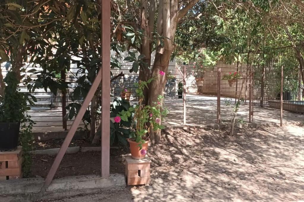 Finca Marina Turismo Rural